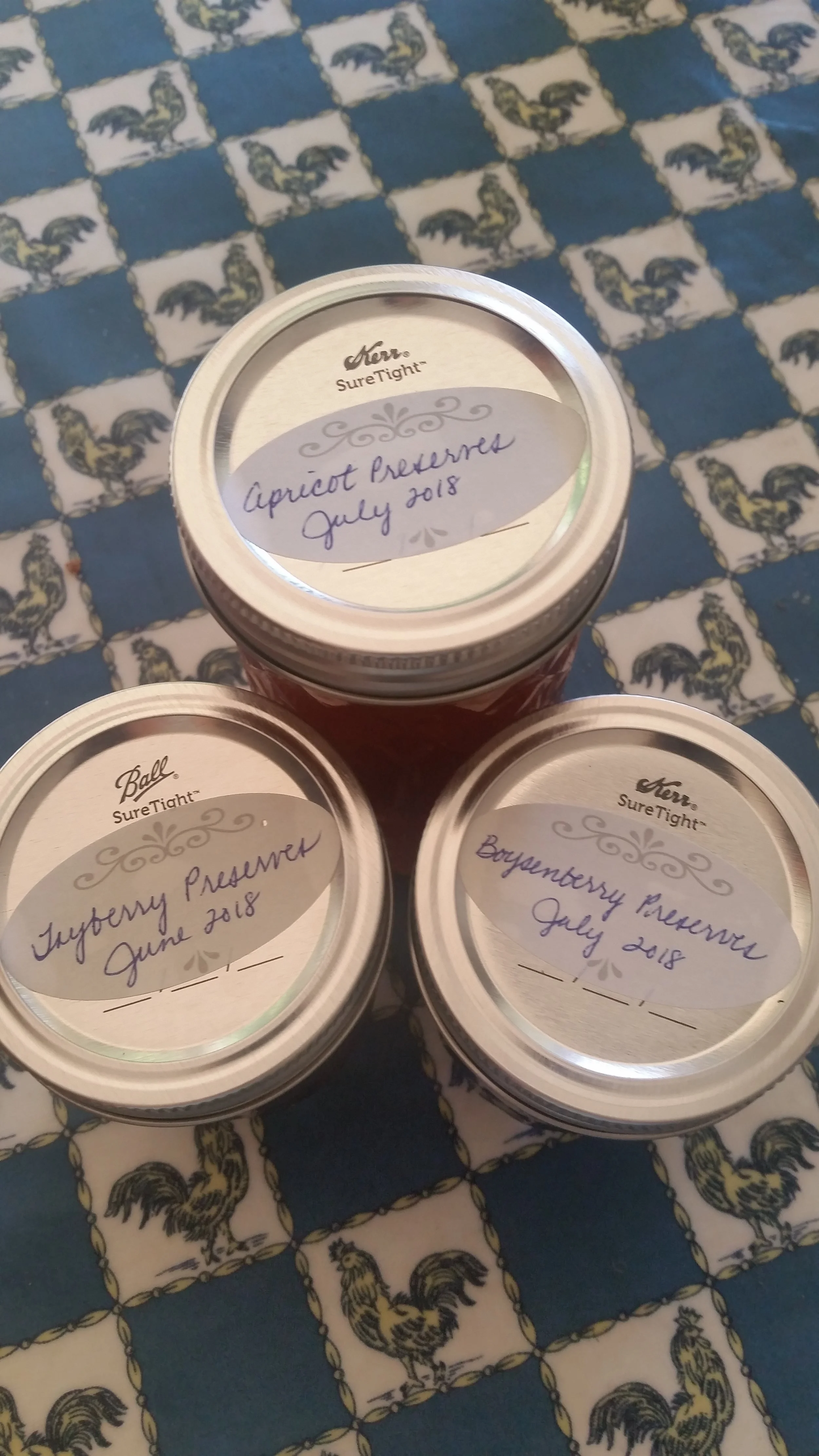 Lynn's apricot, tayberry, and boysenberry