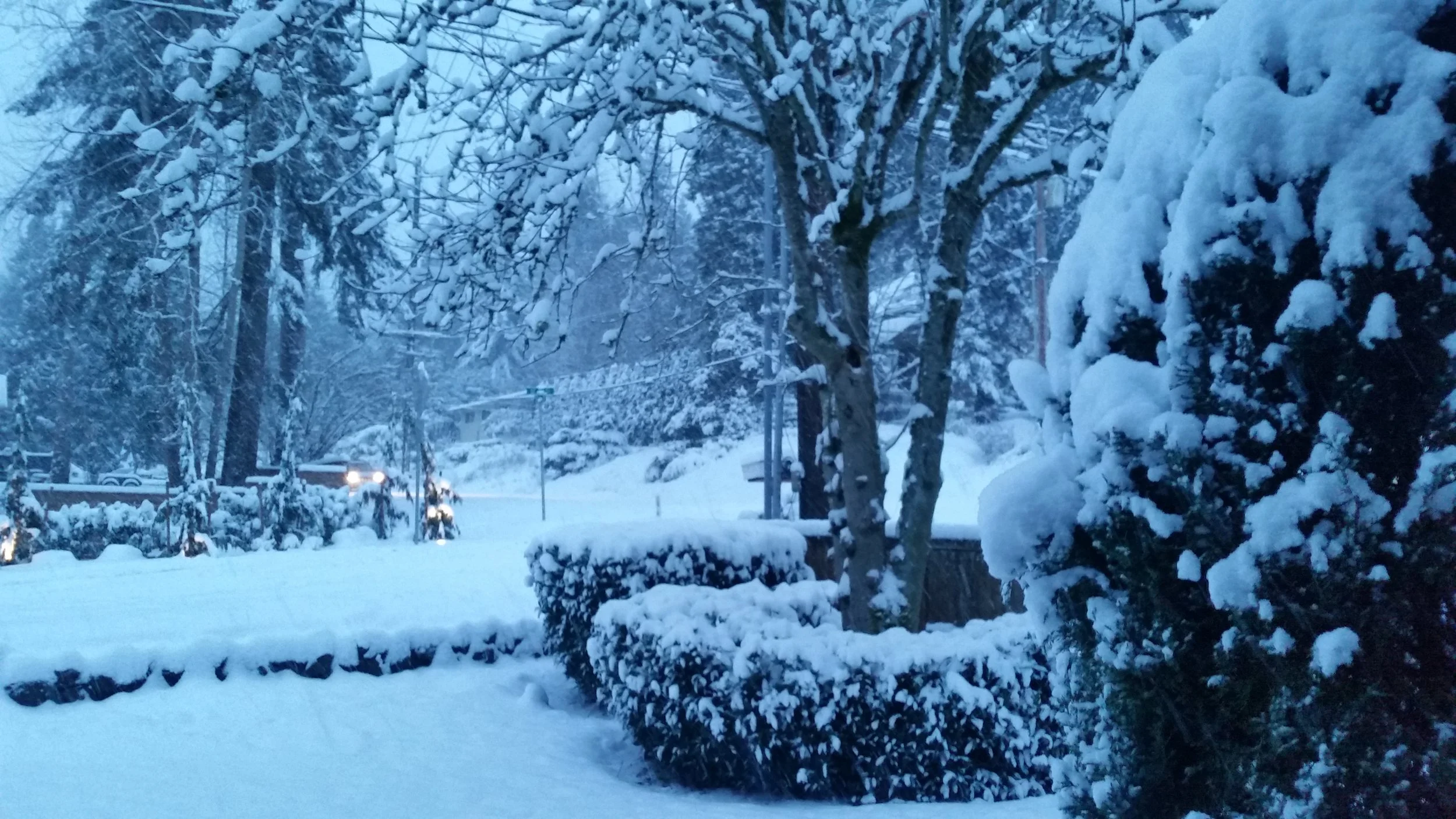 It’s a marshmallow world in the winter