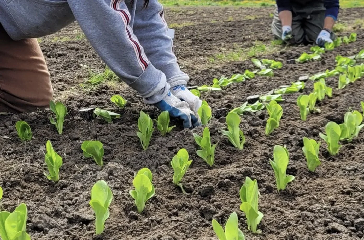 Screenshot 2024-02-07 at 8.30.17 PM.jpeg