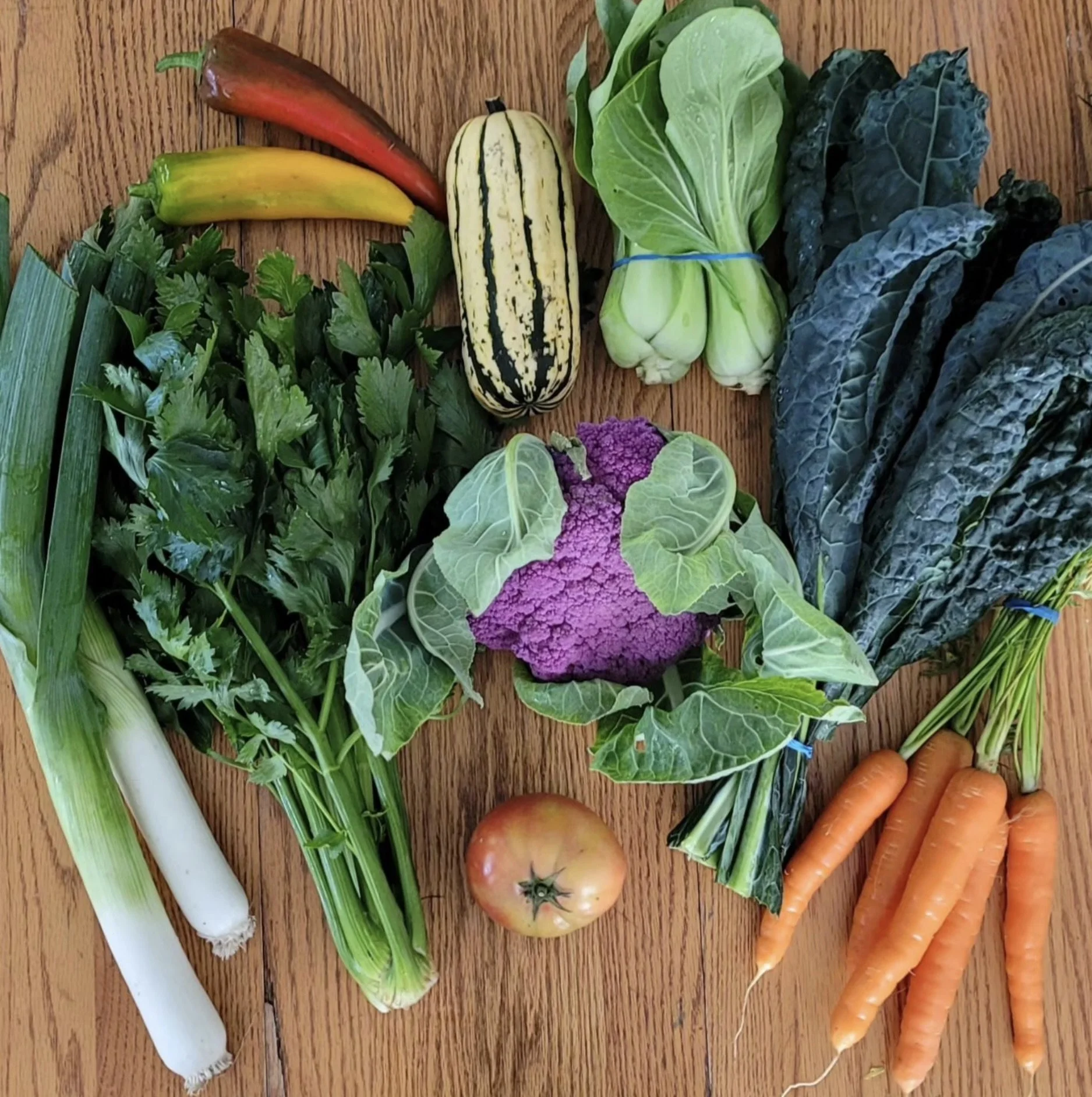 Screenshot 2024-02-07 at 1.52.59 PM.jpeg