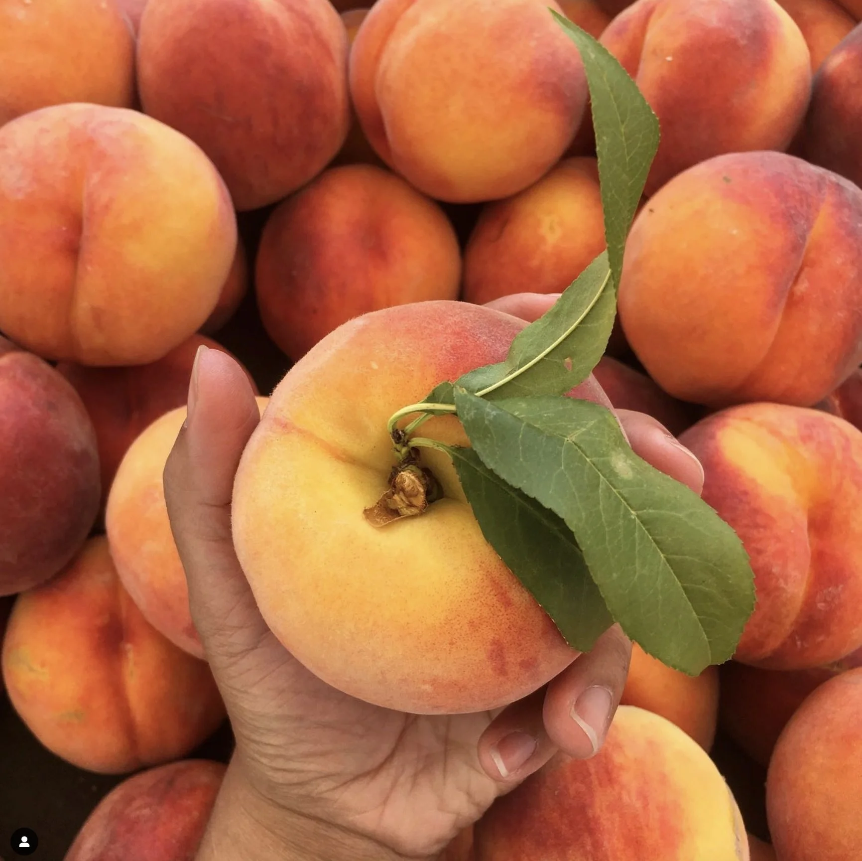 Screenshot 2024-02-09 at 3.30.32 PM.jpeg