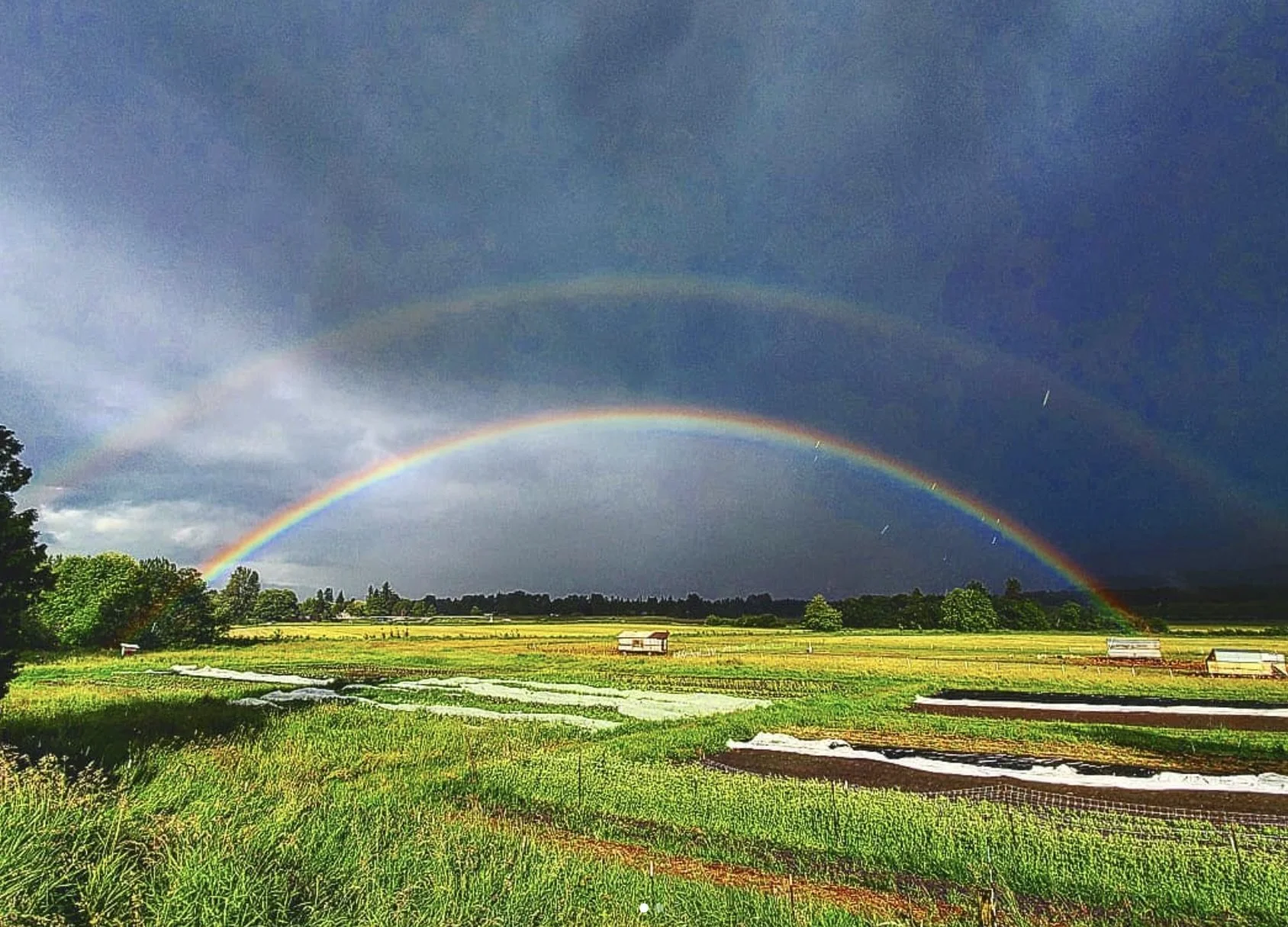 Screenshot 2024-02-08 at 7.12.17 AM 2.jpeg