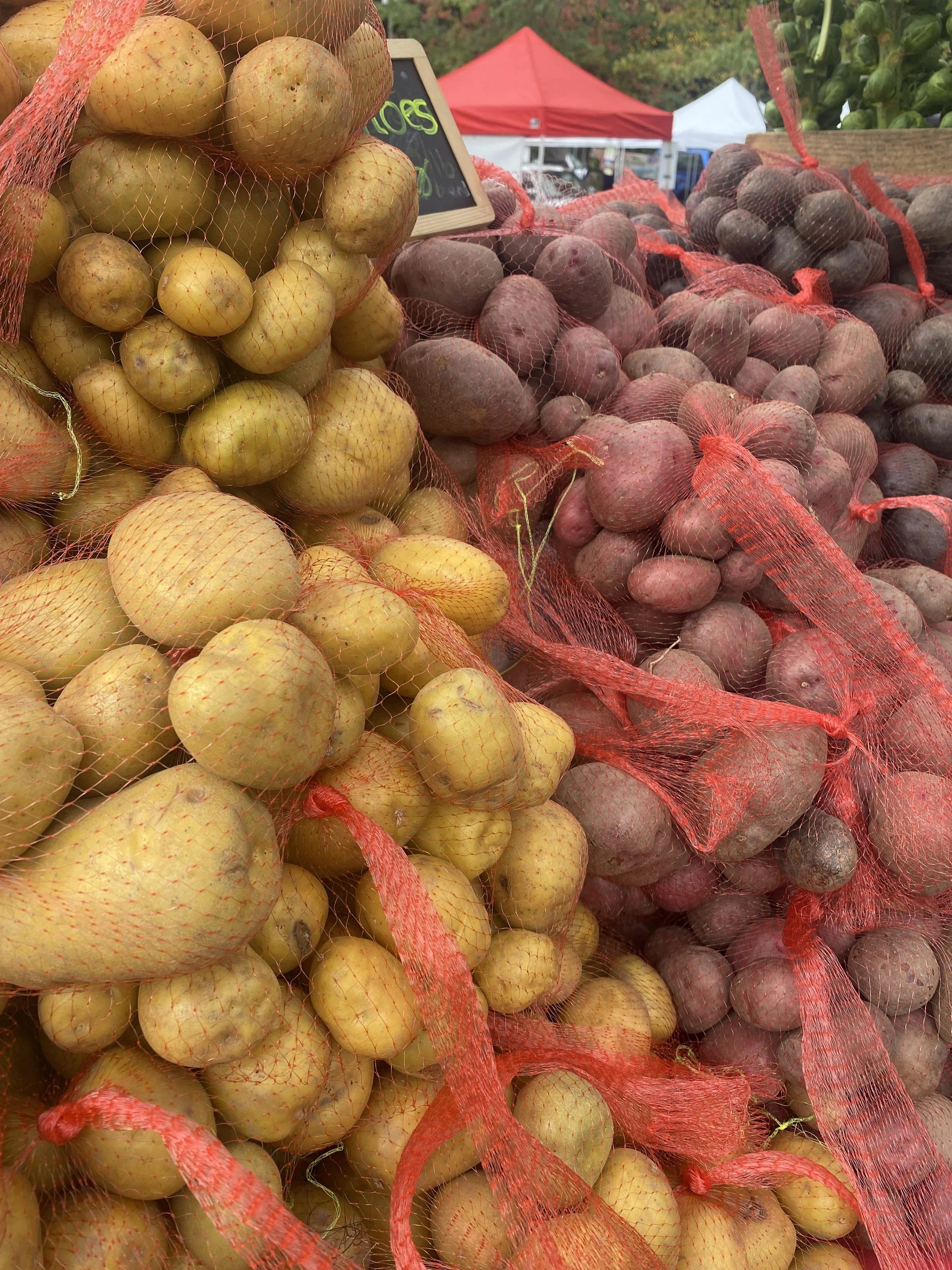 Bellevue Farmers Market - October Harvest Market  