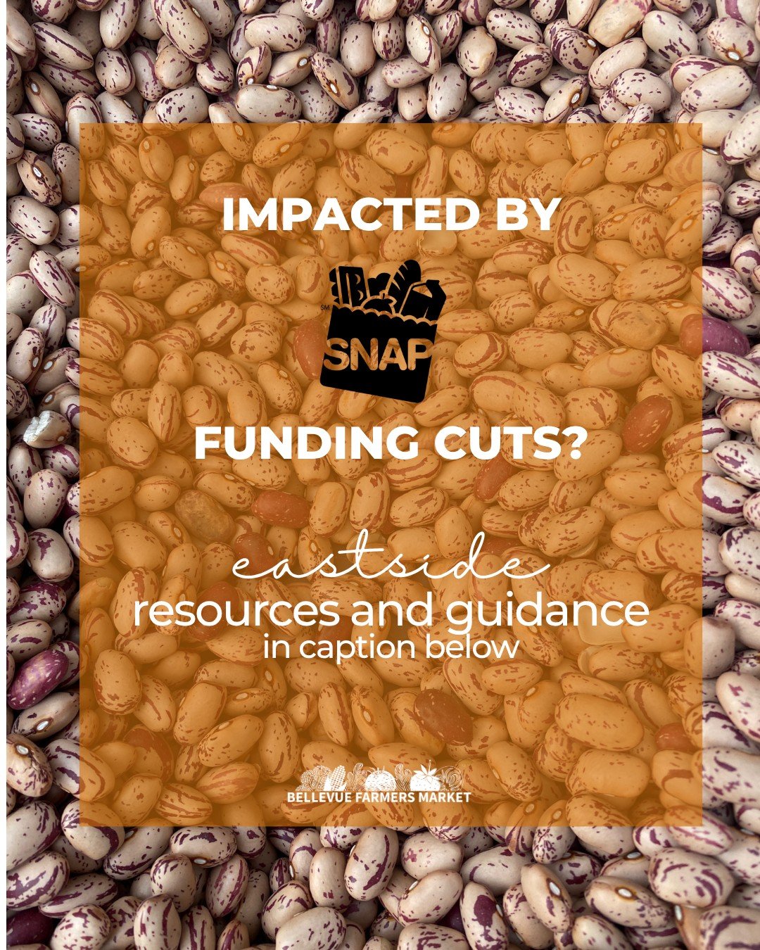 540,000 Washington households are affected by the current SNAP funding cuts, including 200,000 people -- over 30% of them children -- in King County.  Find support and resources in our community below and share with your neighbors who are facing this