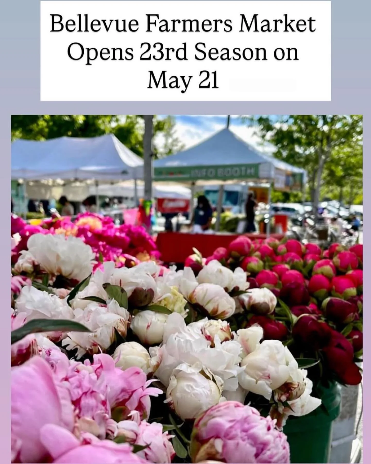 Thanks for the shoutout @downtownbellevue! We would love to see a huge turnout on opening day!