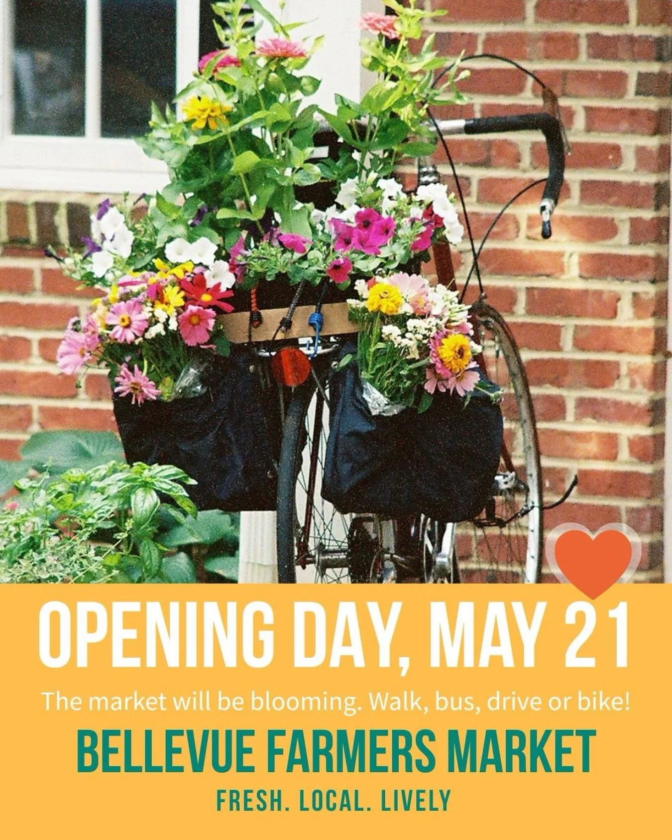 The market will be blooming. 60+ Vendors!

However you get here &mdash; walk, bus, drive or bike, we&rsquo;ll be glad to see you!

Opening Day &mdash;  May 21 
Ribbon cutting at 3 pm

Rain or shine.

#farmersmarkets #communitymatters #freshlocalively
