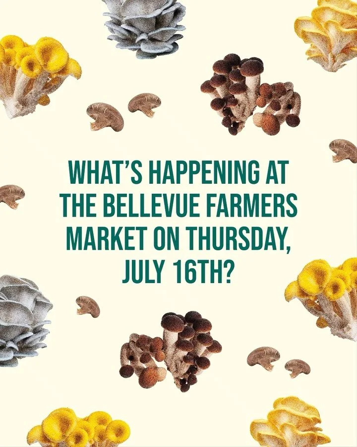 Hello from The Bellevue Farmers Market 👋☀️ Swipe to listen to our vendor story of the week. Zach, founder of Mycology Mushrooms Medicine, was previously training to be a doctor. However, he saw the solution to preventive medicine through diet - Thus