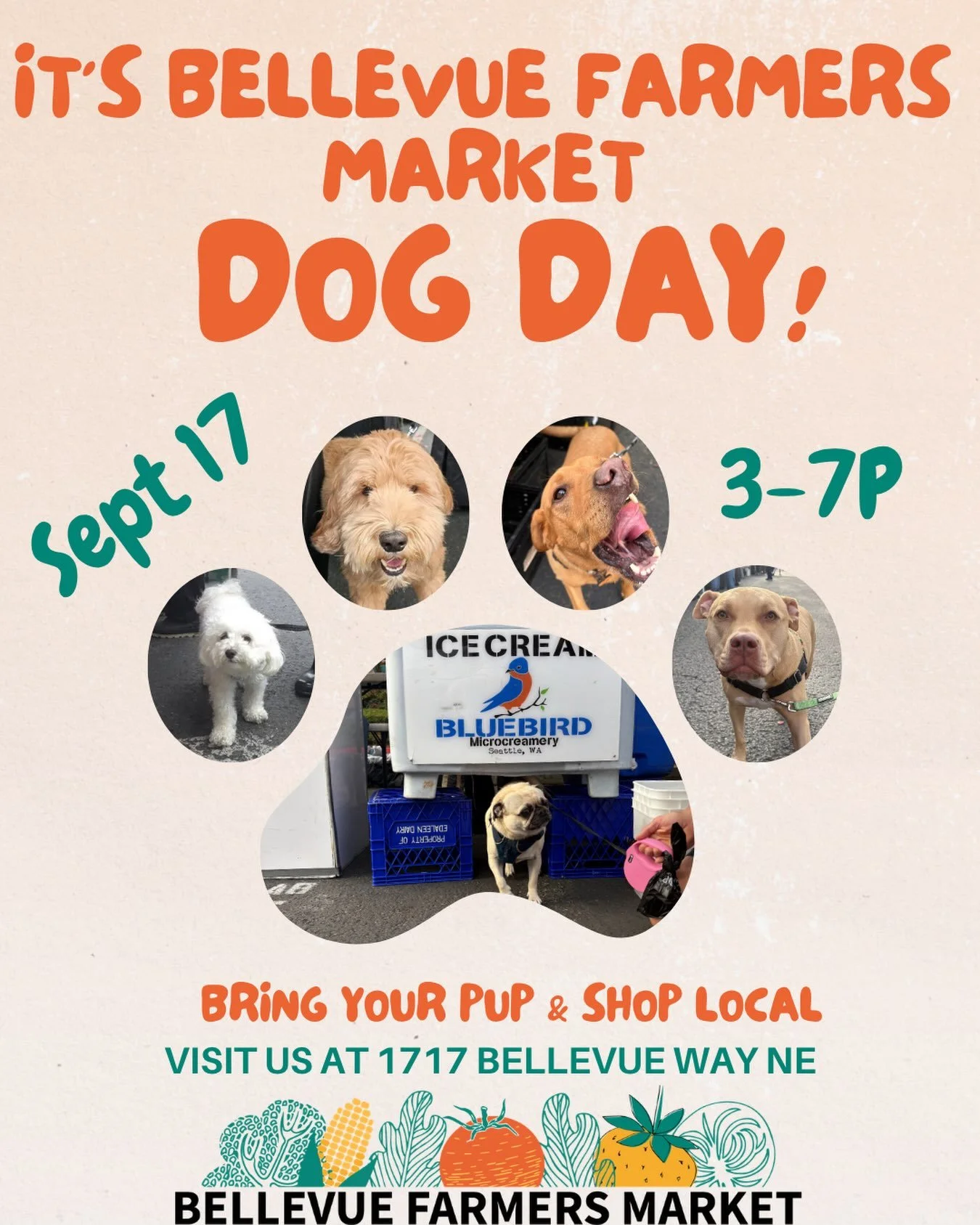 📅🐾 Mark your calendars &mdash; the Bellevue Farmers Market is calling your name (and your dog&rsquo;s)! Leash up your pup and swing by on 9/17 for fresh produce, local vibes, and plenty of good boys and girls to say hi to. See you there! 🥕🐶✨