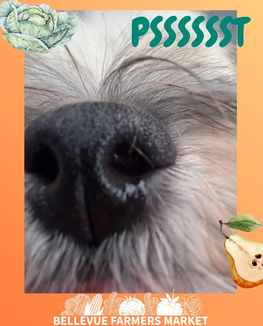 🐾🍦📸

Calling all canines! Join us Thursday 9/17 from 3-7p for Dog Day! 

Pup cups, a photo booth and new specialty vendors just for your furry friends! 

We&rsquo;re excited to see all the good boys and girls on their leashes &amp; best behavior! 