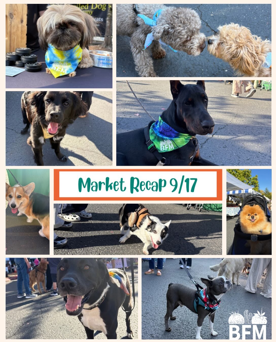 🌻🦴 ICYMI 🦴🌻

Thanks to everyone who came out to our Dog Day this past Thursday. We loved meeting all your furry friends and sharing our farmers&rsquo; fresh produce. 

Winter squash and peppers are in full swing, we&rsquo;ve a few stone fruits ha