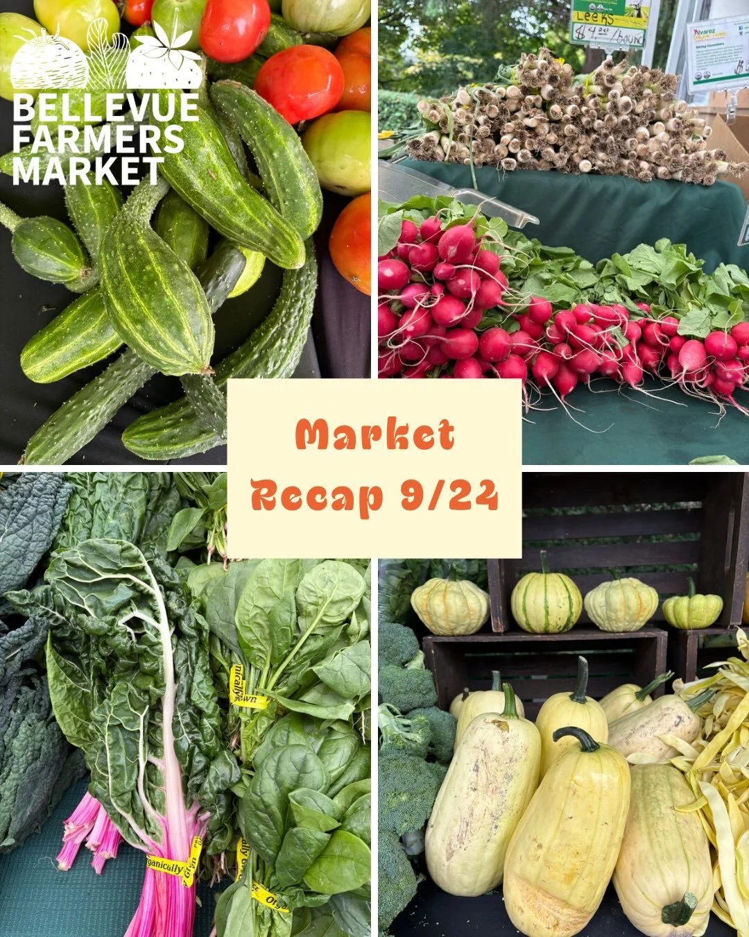 🫜☁️ ICYMI ☁️🫜

Thank you to everyone who came out for Older Adults Day! It was so fun seeing so many familiar faces (and a few new ones) at the market this week.

Tomatoes are still going strong and there&rsquo;s squash everywhere you look, so come