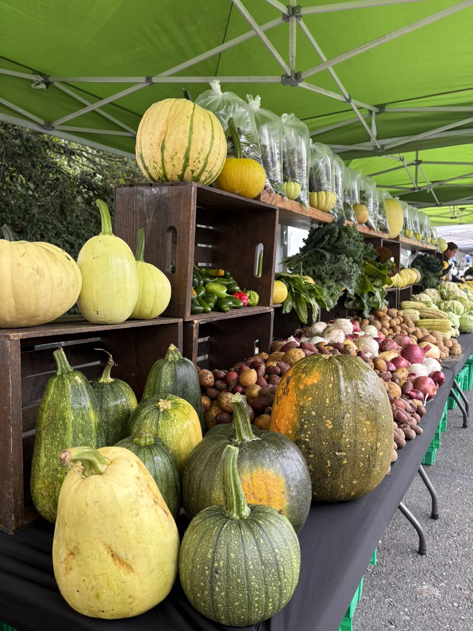 Halloween Harvest Market