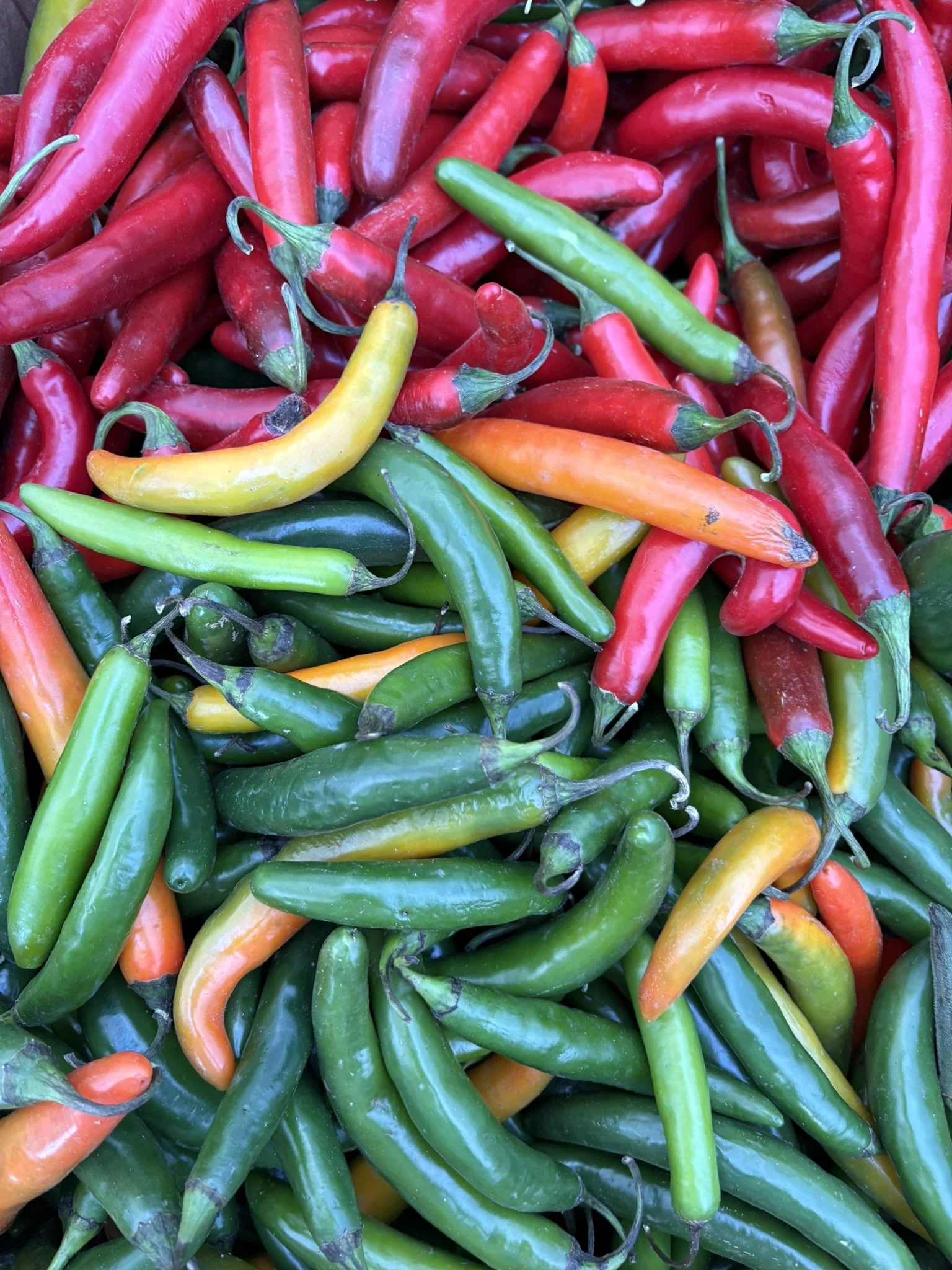 Holiday Harvest Market