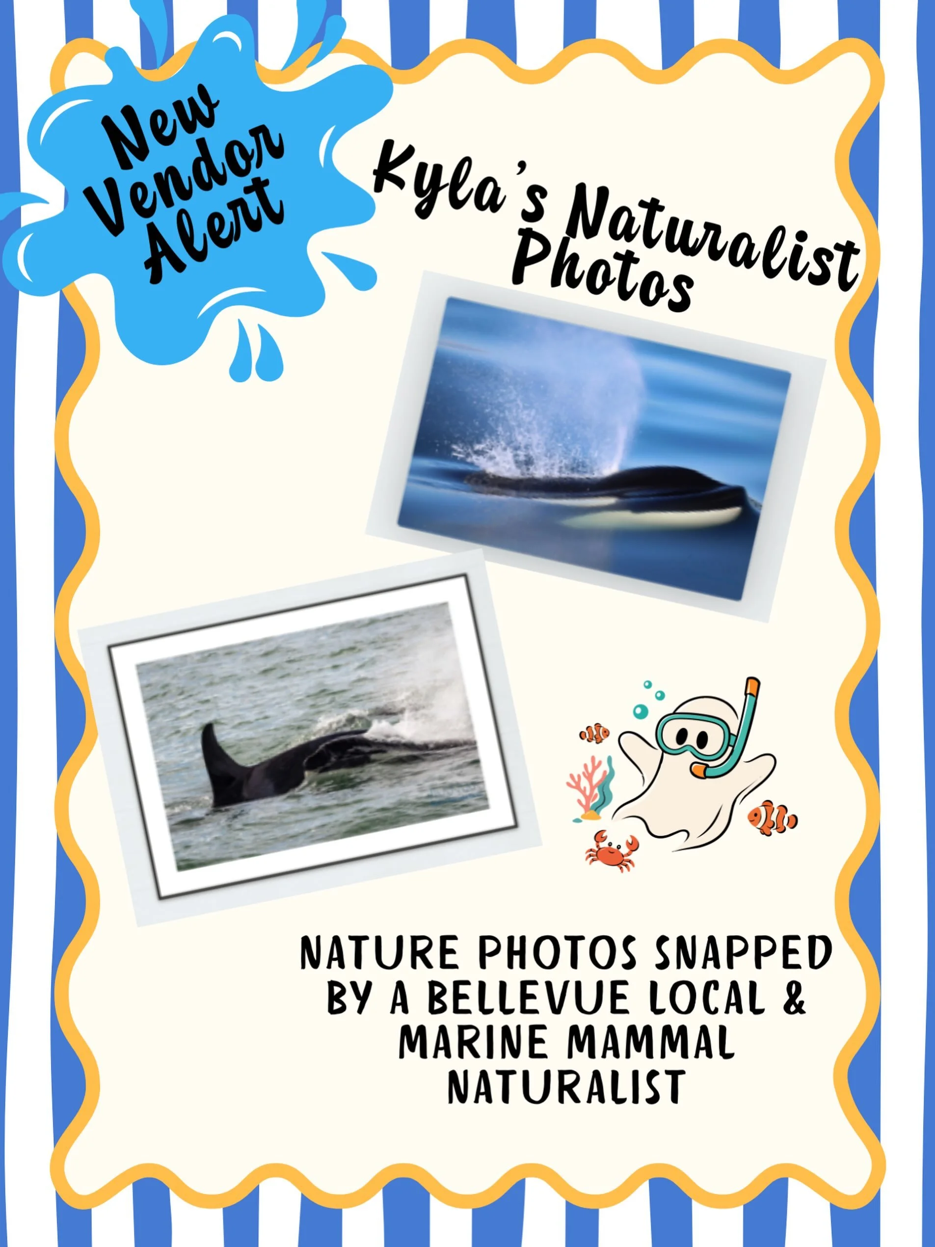 🐋📷 Vendor alert: Kyla&rsquo;s Naturalist Photos 📷🐋 

Based right here in Bellevue, Kyla captures Pacific Northwest wildlife and shares the stories behind every animal in her shots. With a background in marine science and experience as a marine ma