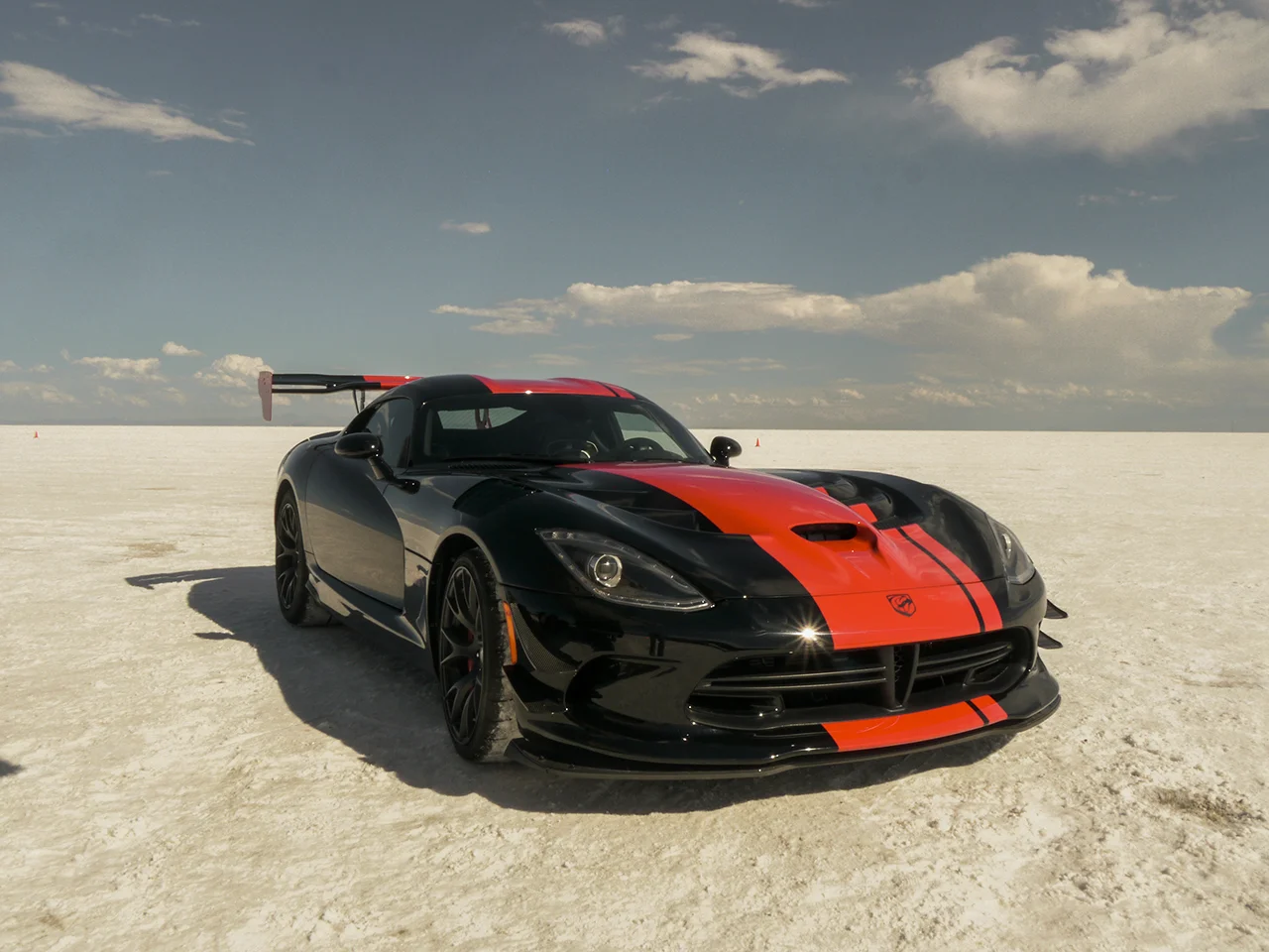 Big snake on the salt.