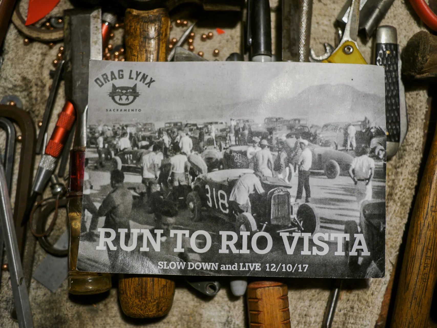 P1100733.jpg