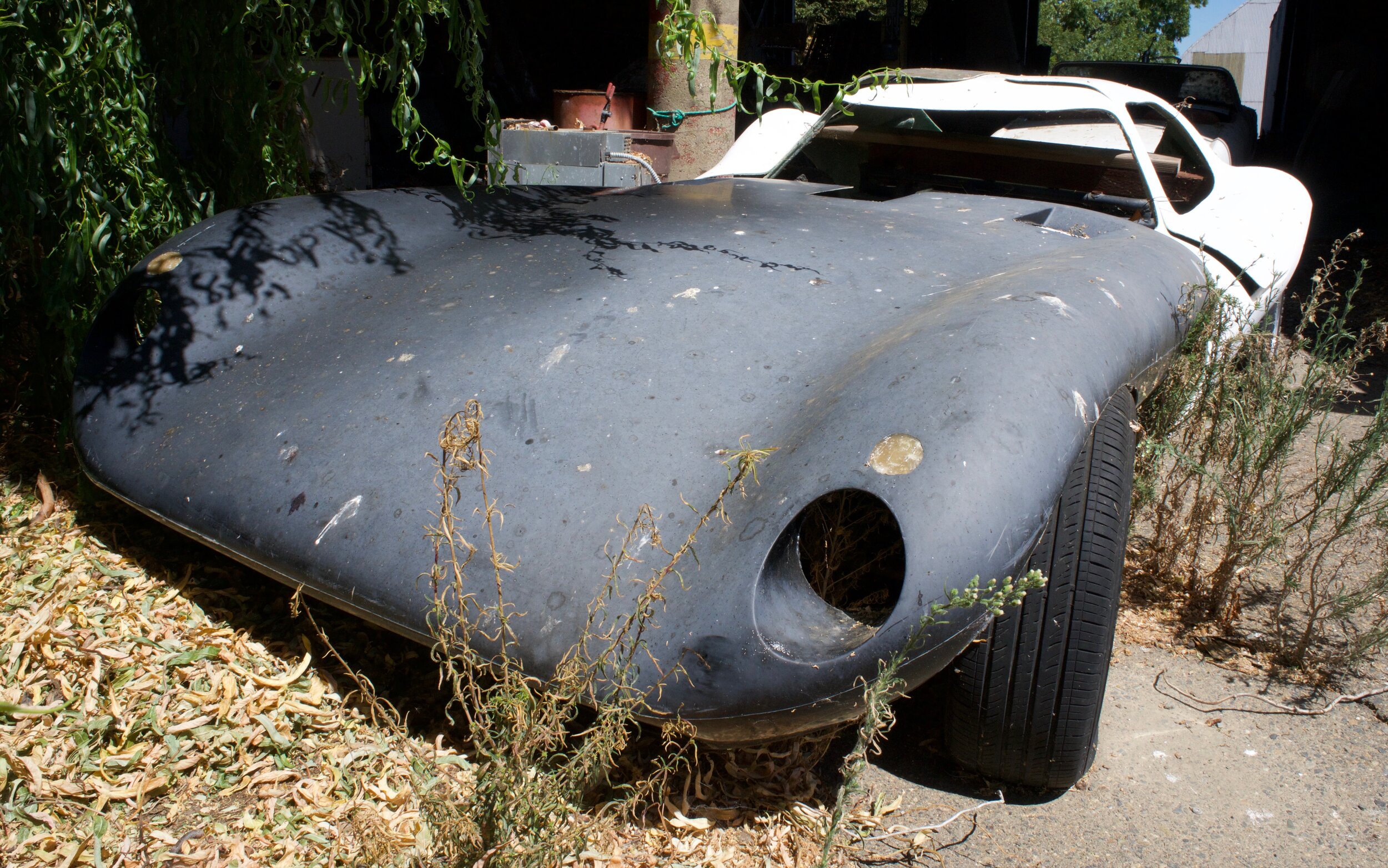  The bones of a Cheetah sports car lurk outside under a willow tree. 