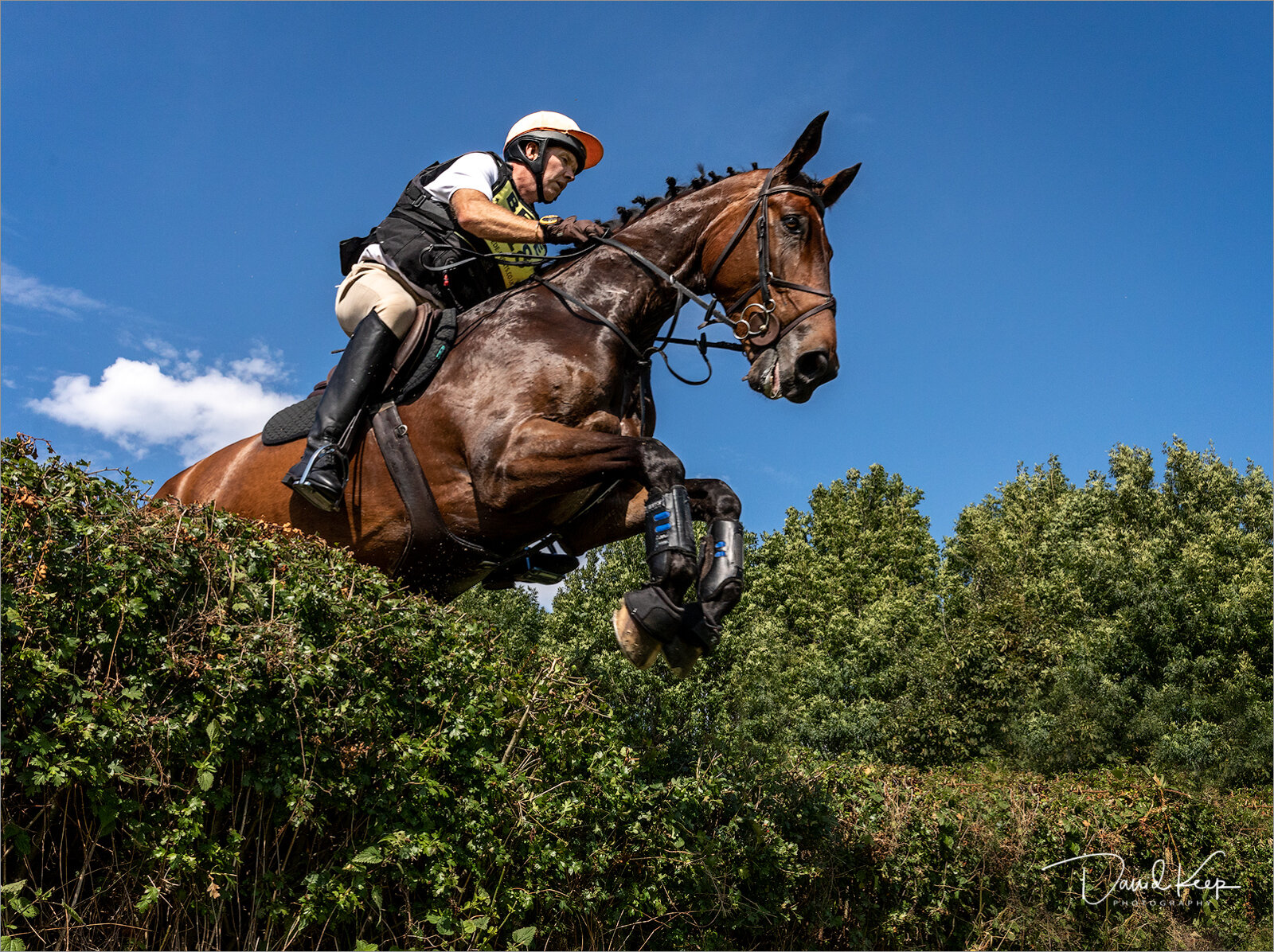 Horse Jumping (1 of 1).jpg