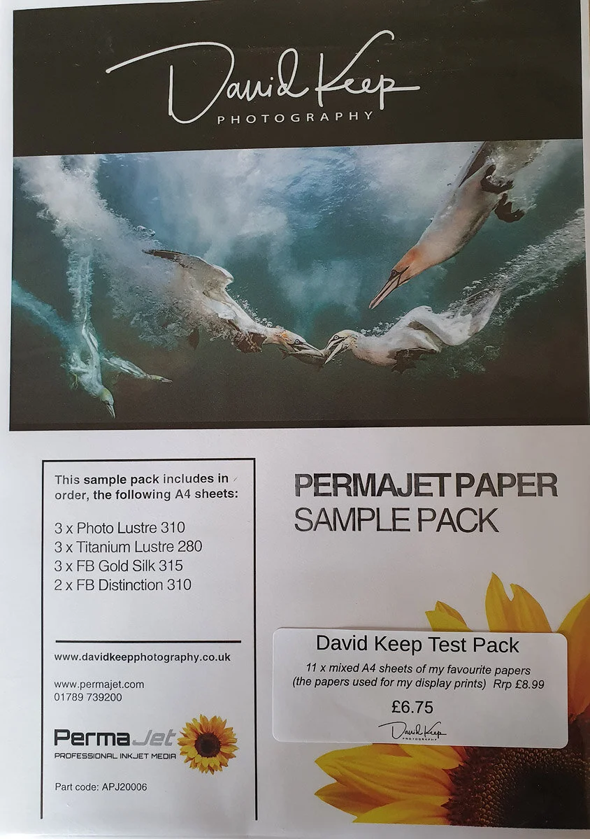 David Keep Printing Paper