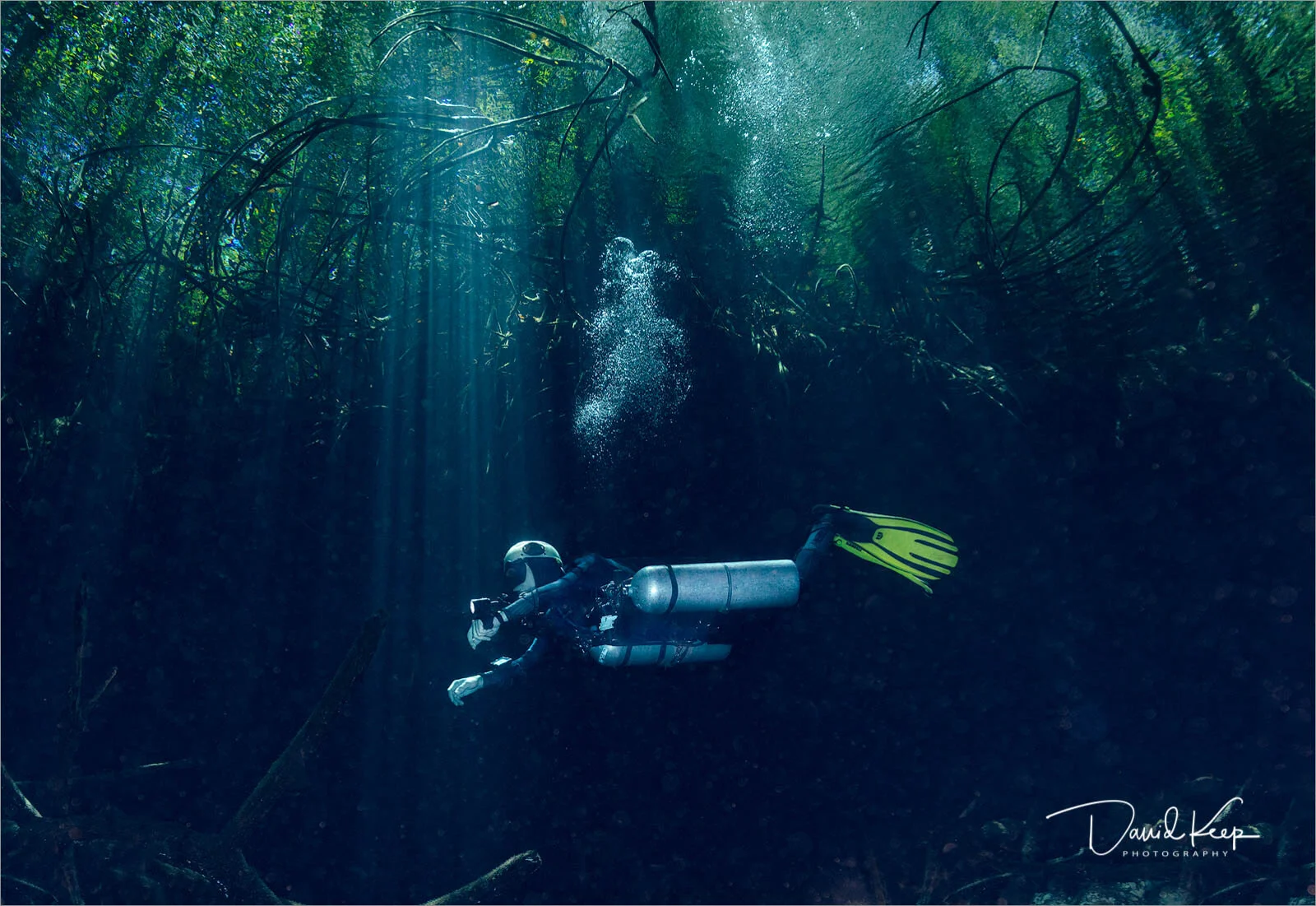 Cenotes (2 of 4).jpg
