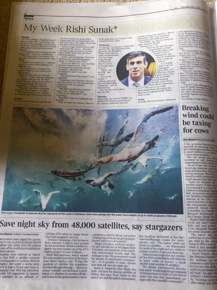 The Times - Diving Gannets #2