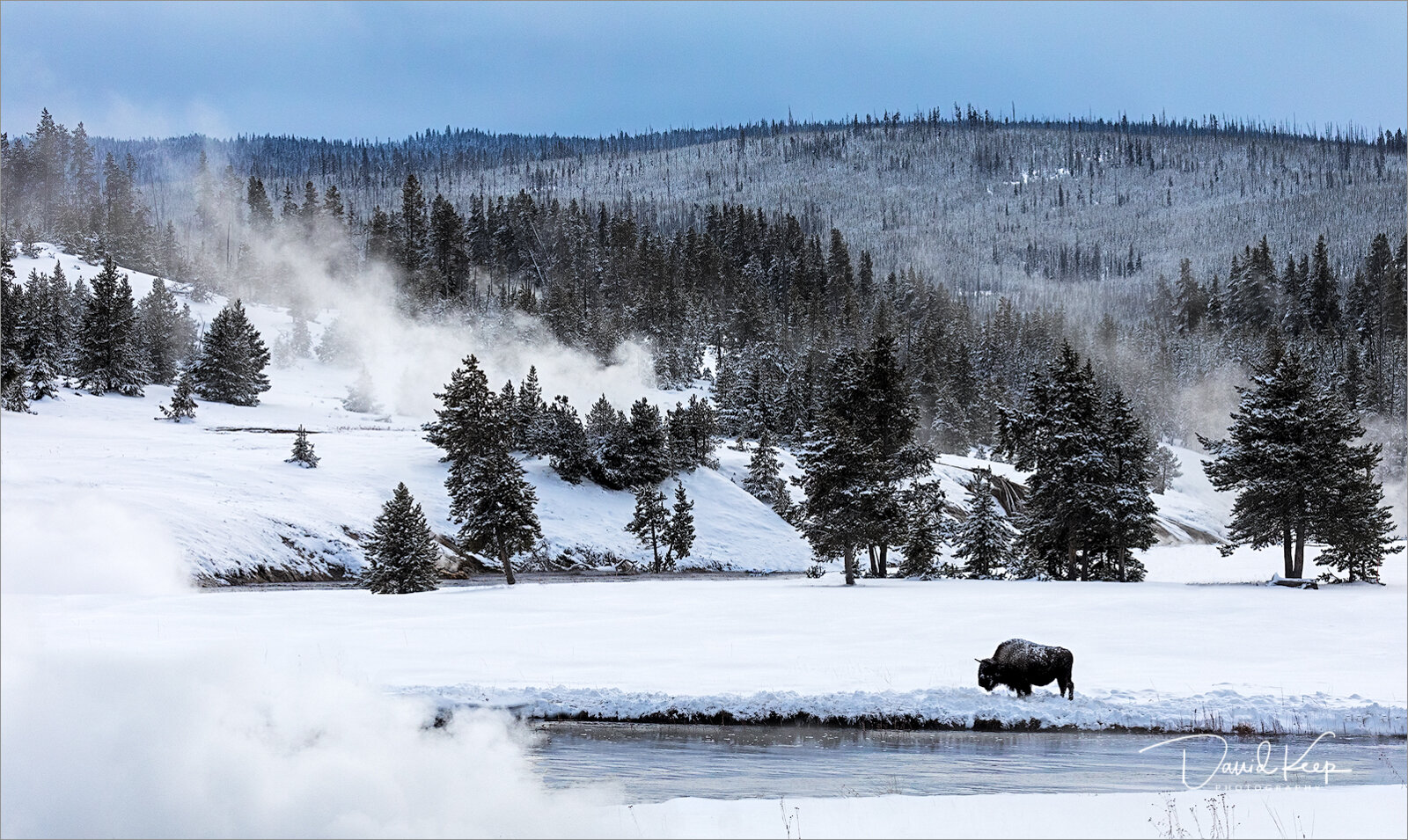 Yellowstone Winter
