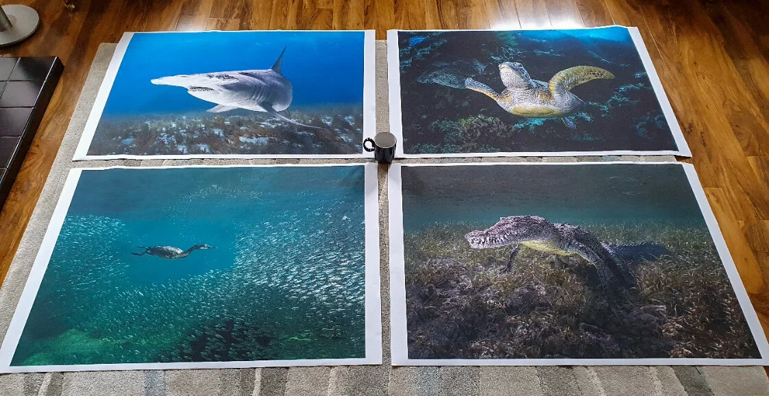 900 x 620mm canvas prints. Mug included to give you some sense of scale :-)