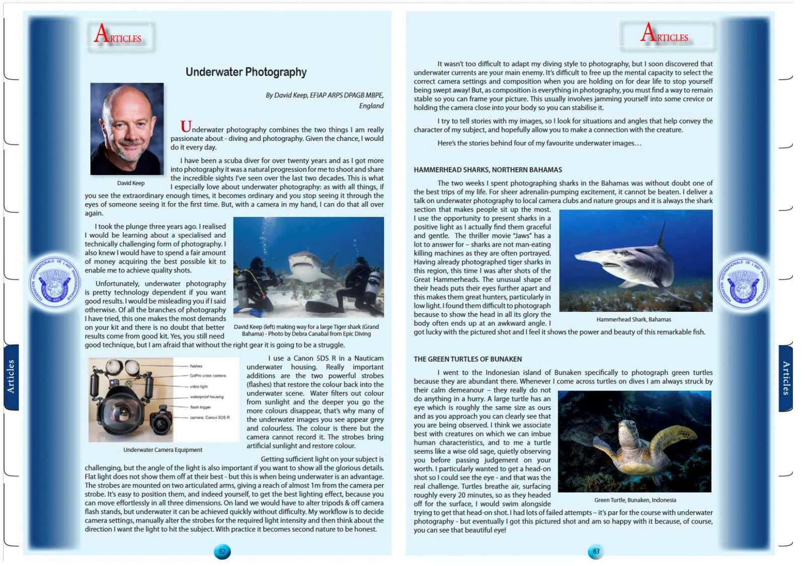 Fiap Article Nov 2020.jpg