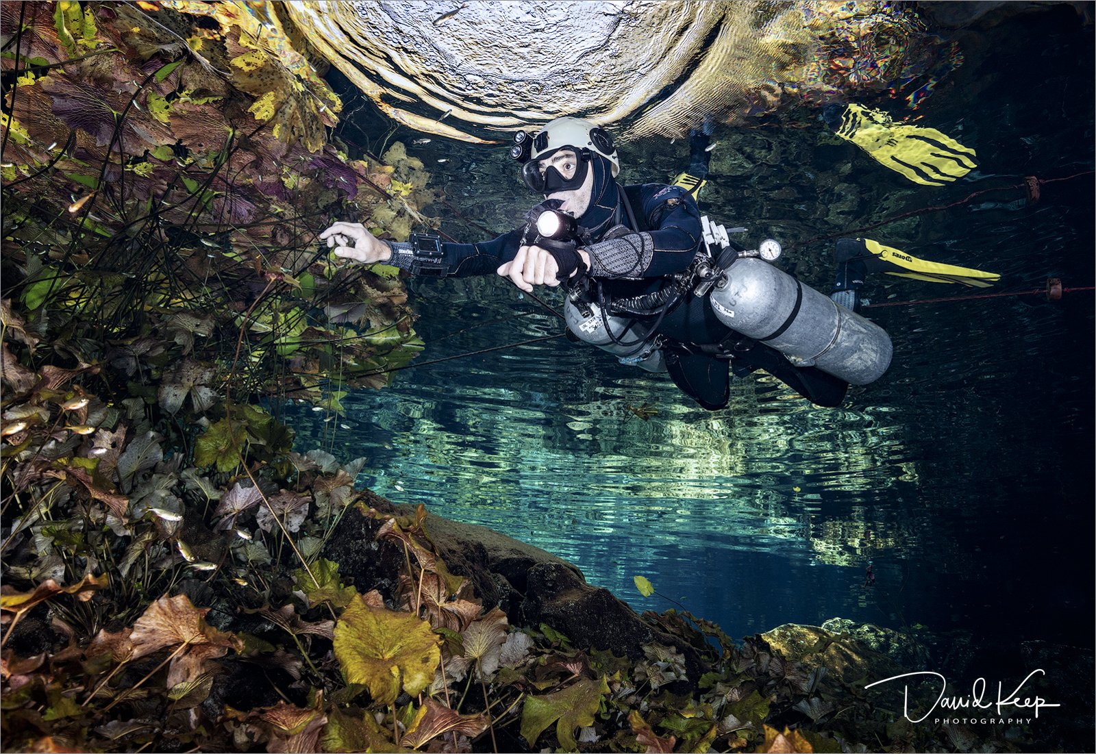 Cenotes #5