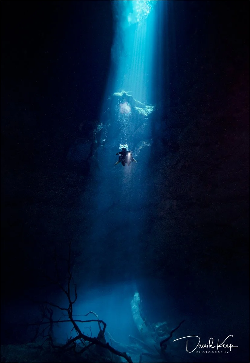 Cenotes #8