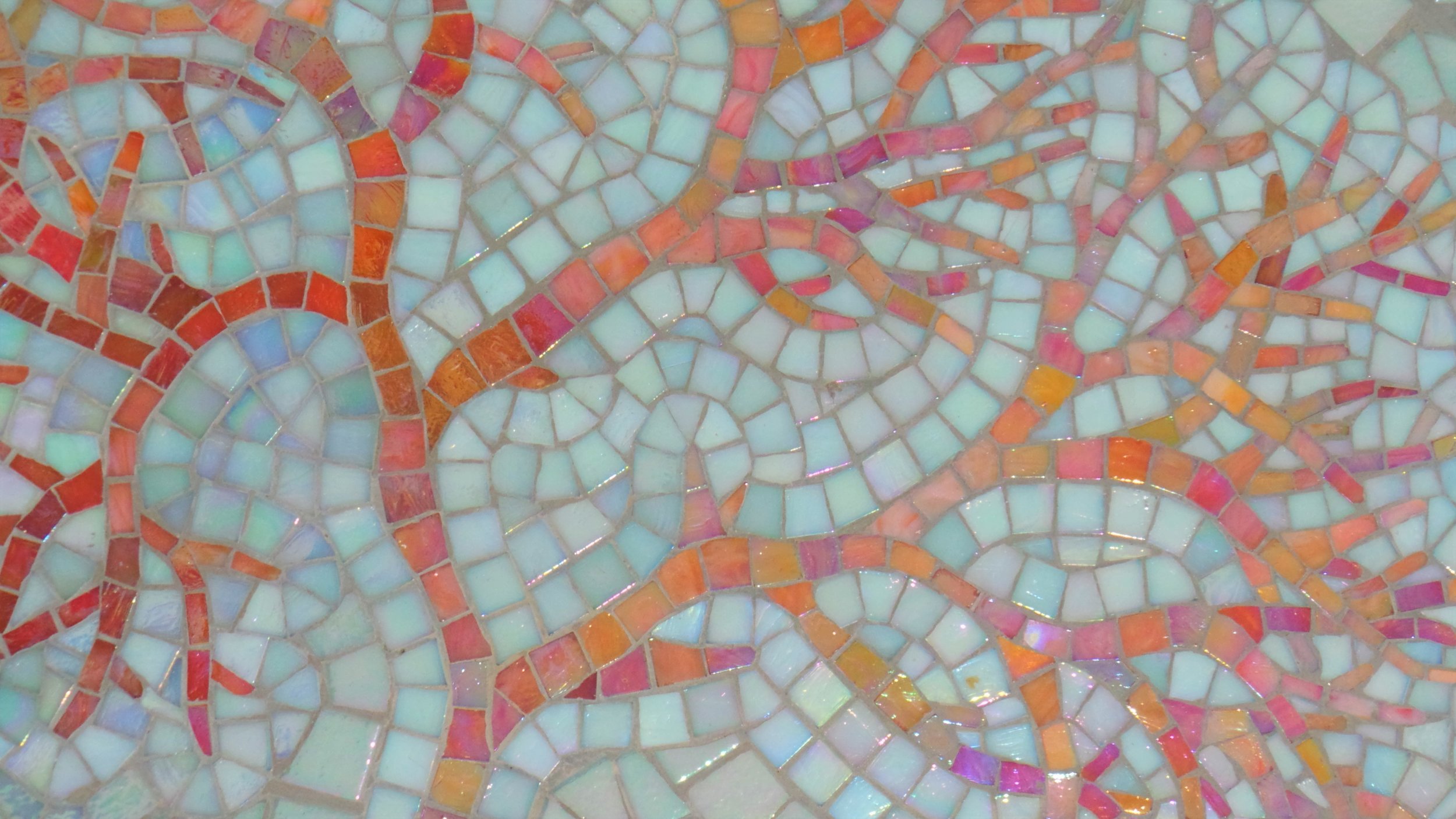  Rockpool detail, Irish moss 