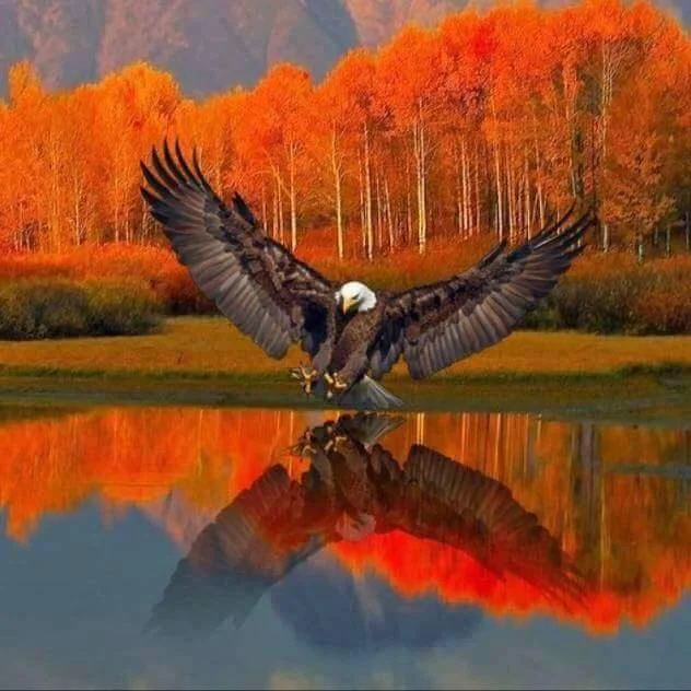 eaglesnest.jpg