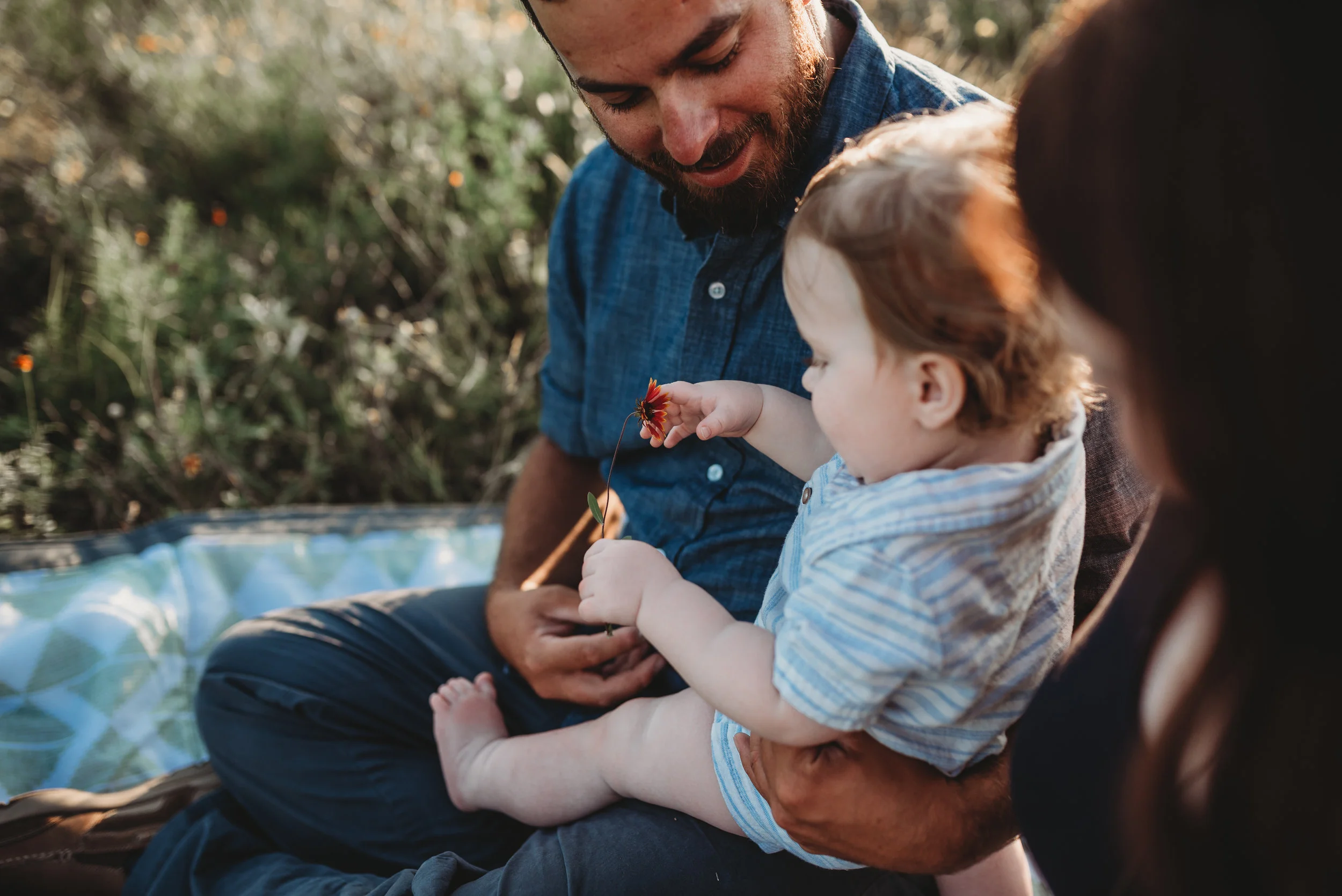 June 27, 2017-;LMA_8671-21.jpg