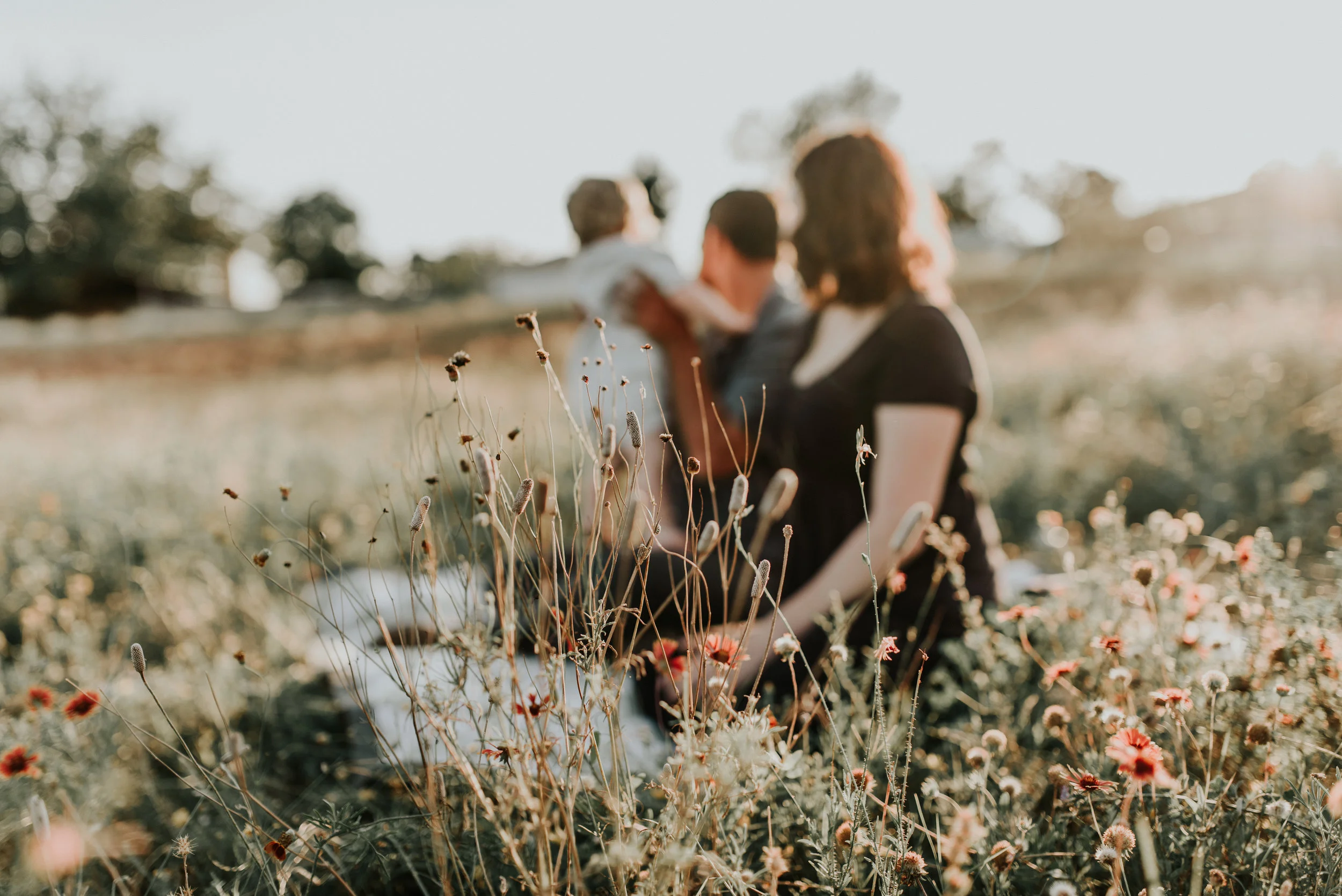 June 27, 2017-;LMA_8666-1.jpg