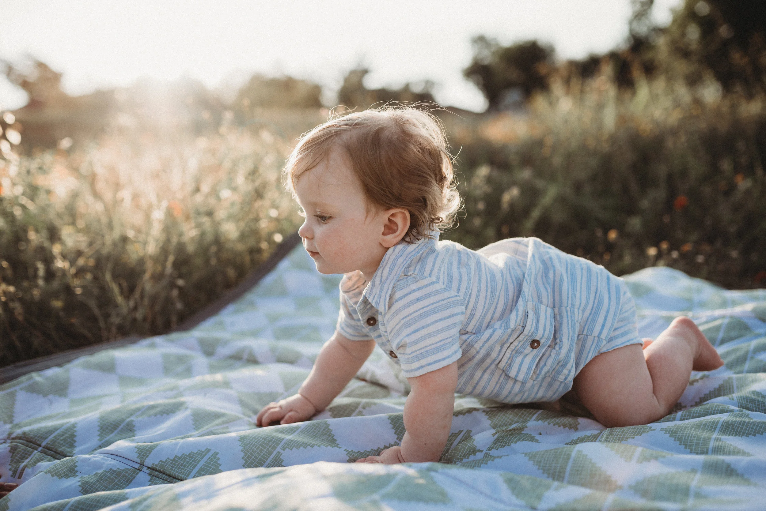 June 27, 2017-;LMA_8717-34.jpg