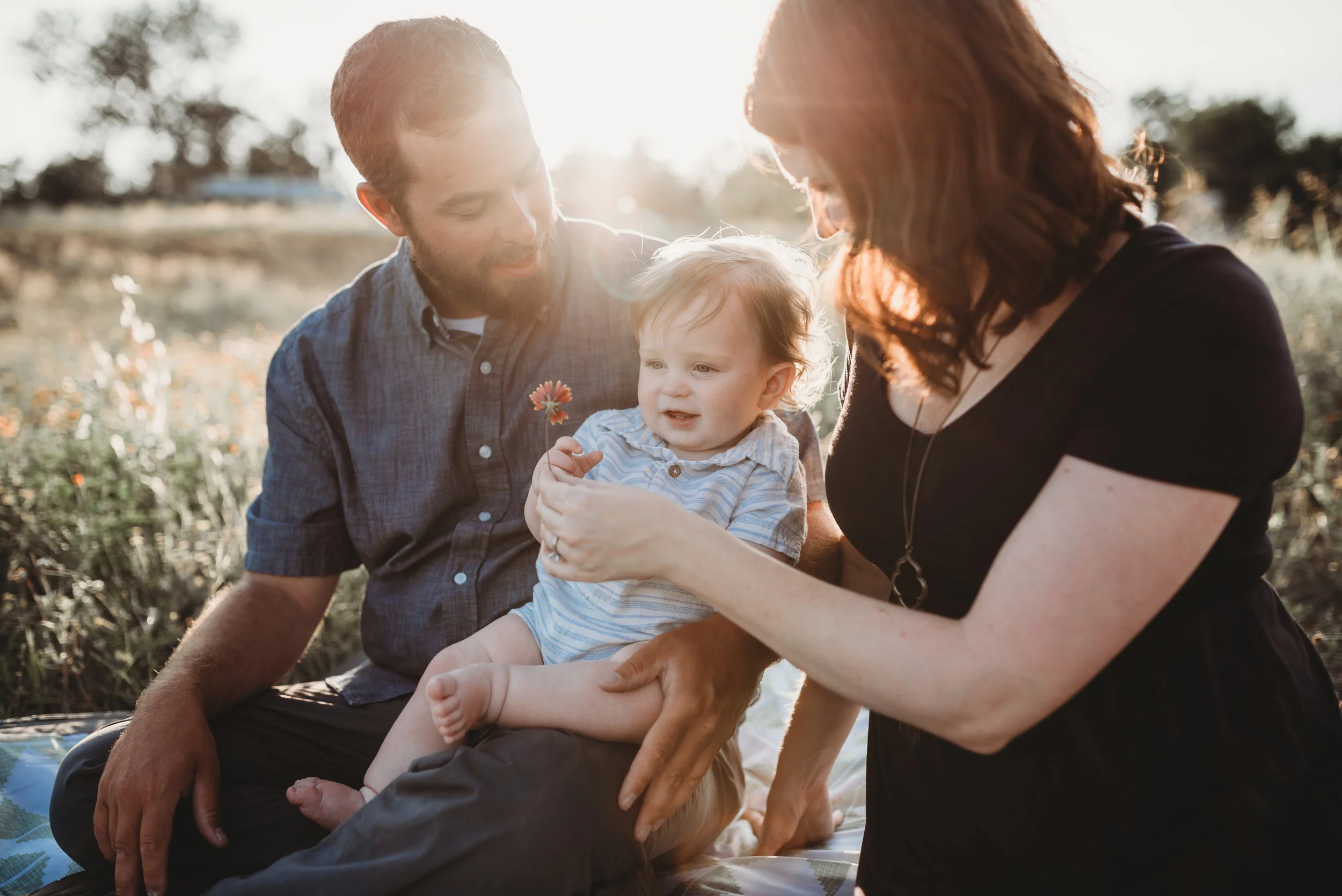 June 27, 2017-;LMA_8680-24.jpg