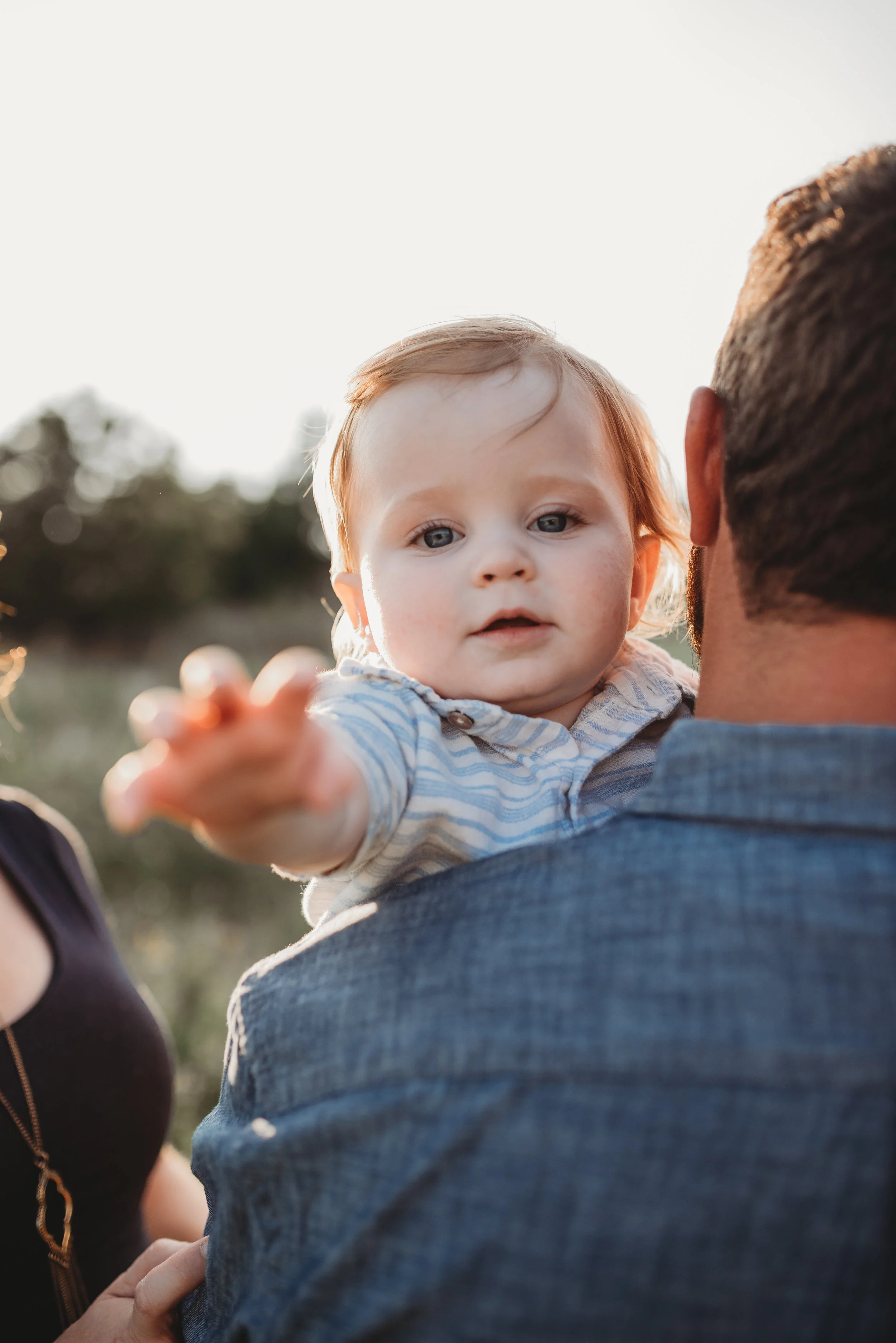 June 27, 2017-;LMA_8837-43.jpg