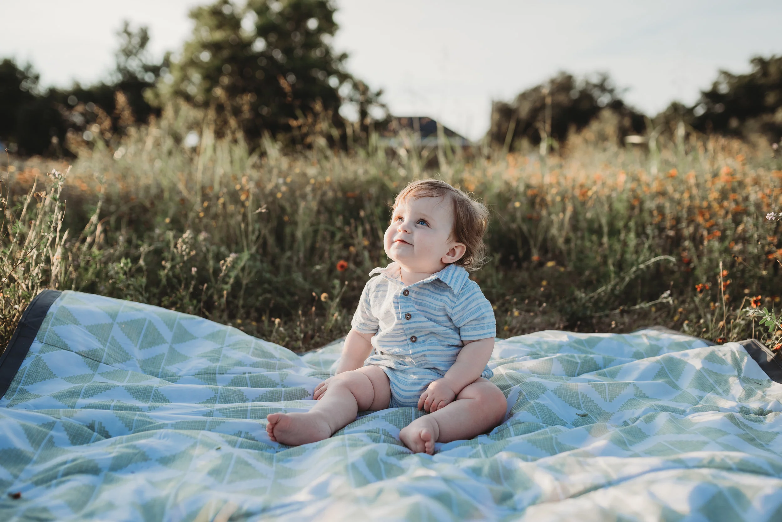 June 27, 2017-;LMA_8697-30.jpg