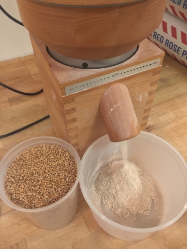 milling whole wheat