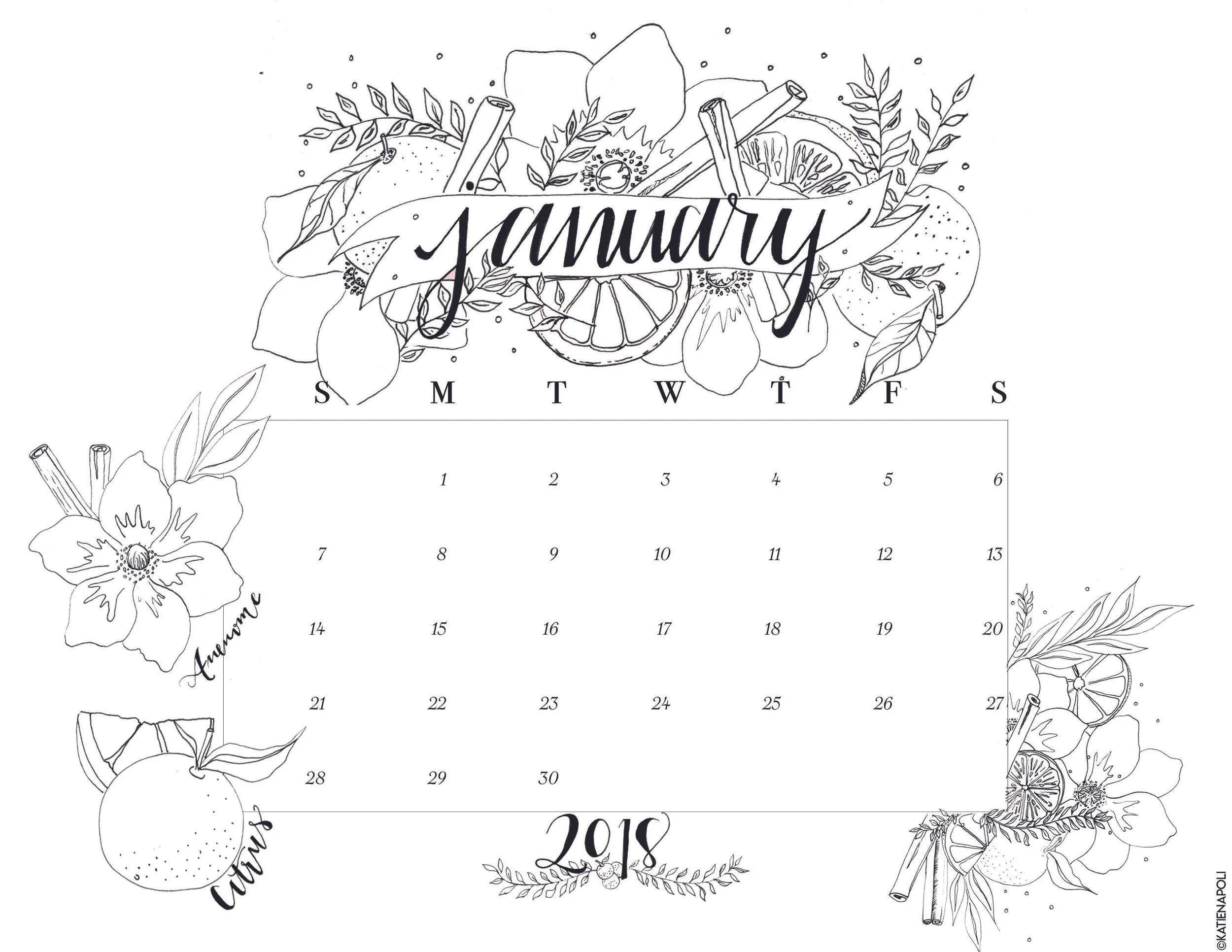 January 2018 Calendar Download copy.jpg