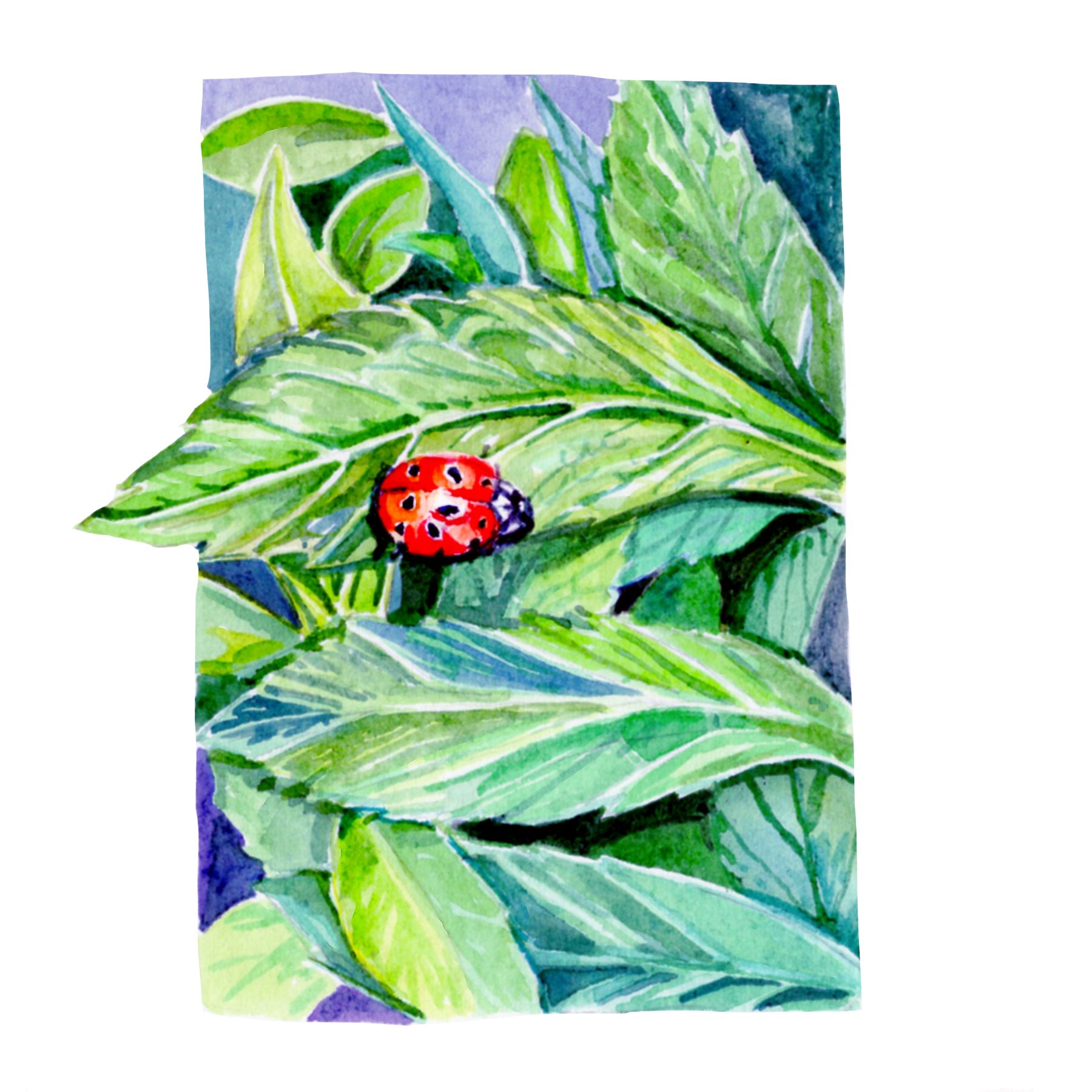 Ladybug on leaf.jpg
