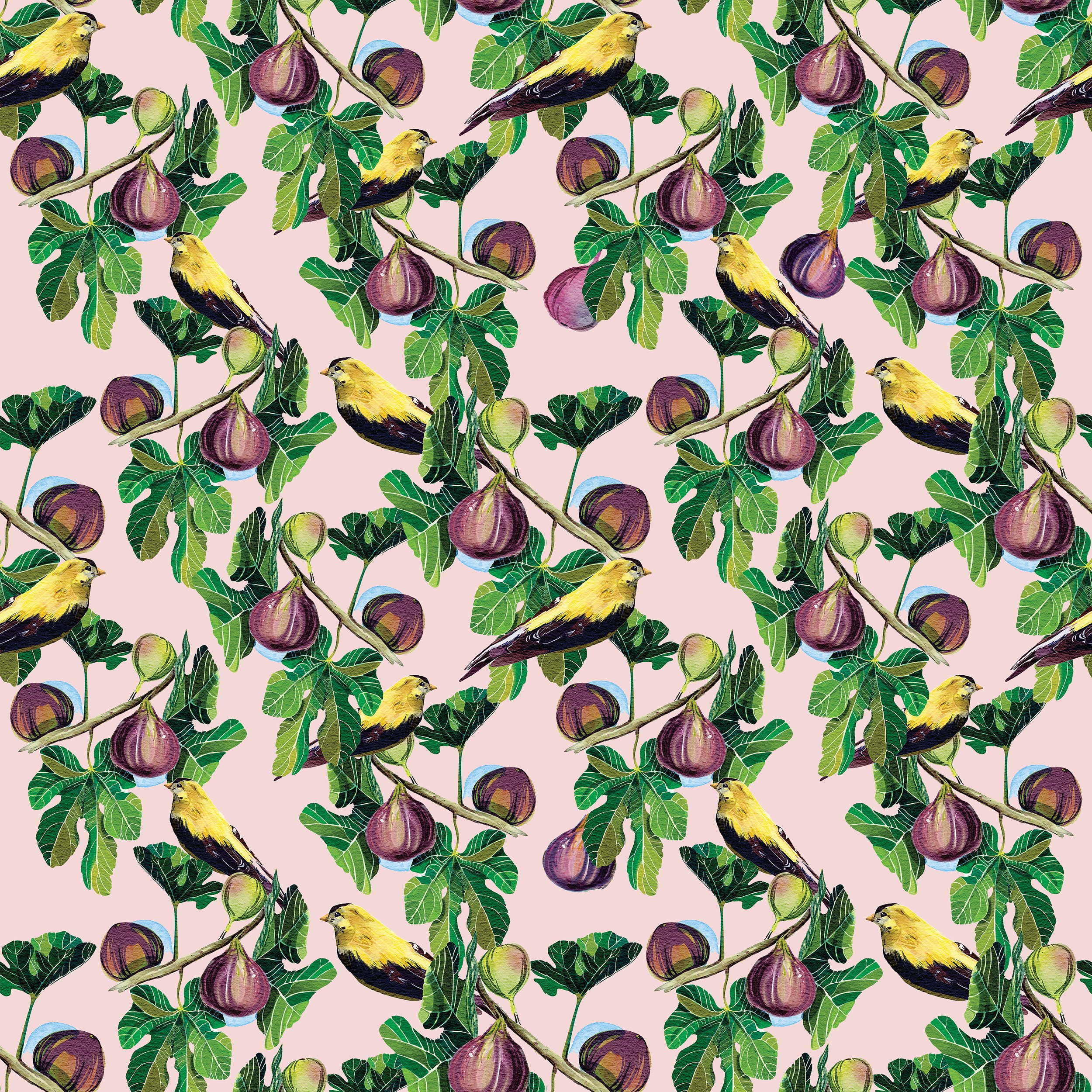 Figgy bird pattern.jpg