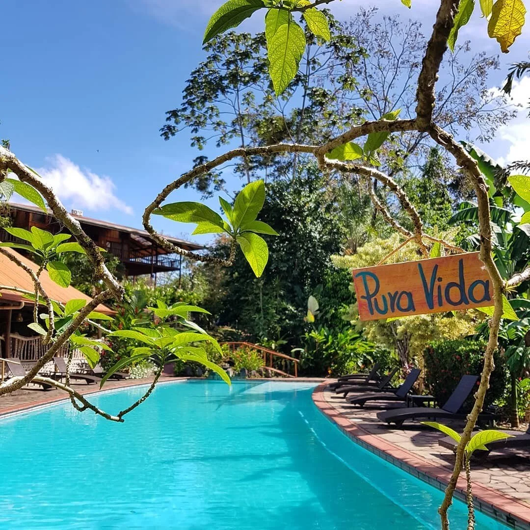 Pura Vida.jpeg