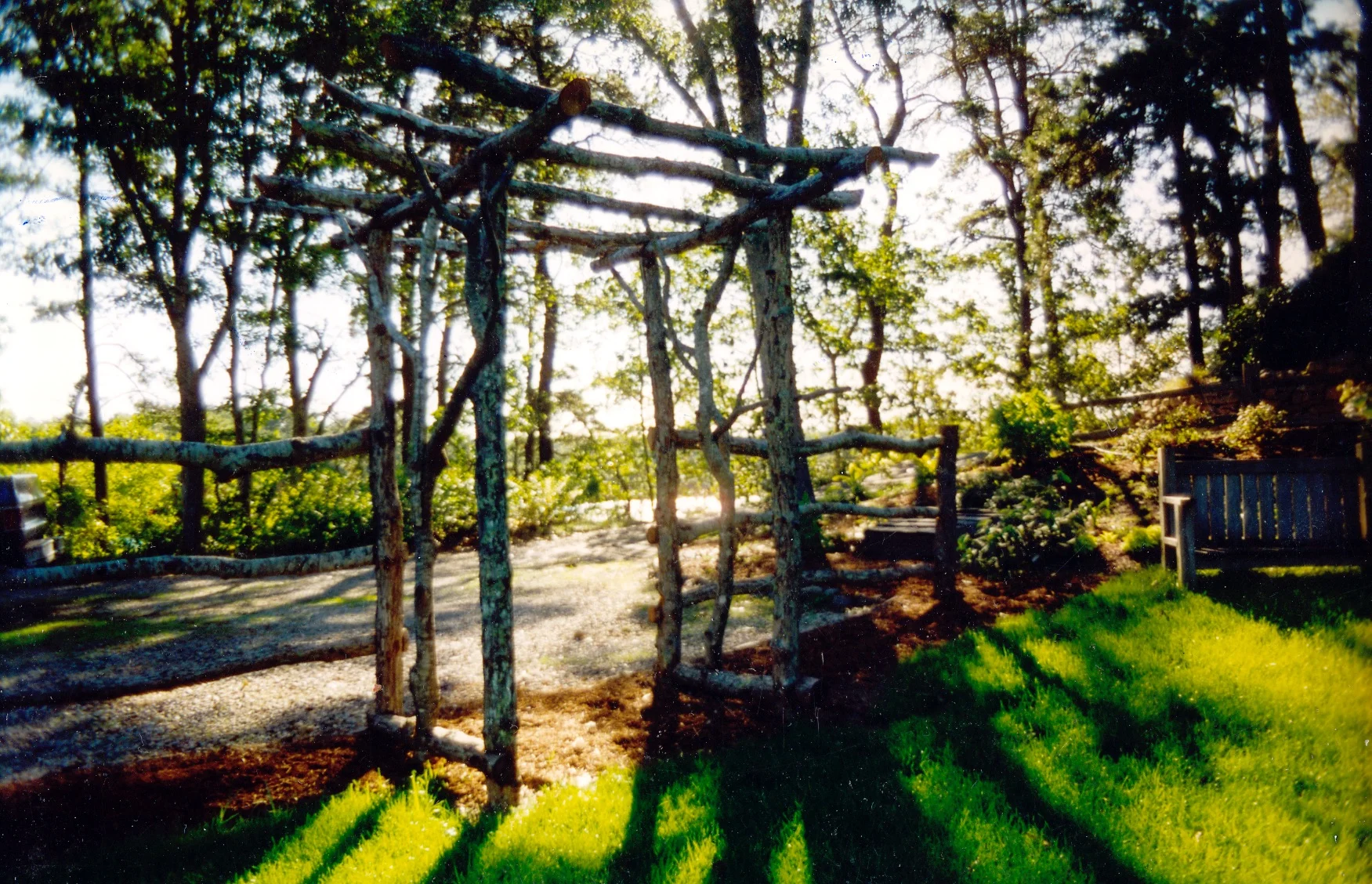 drasher arbor west.jpg