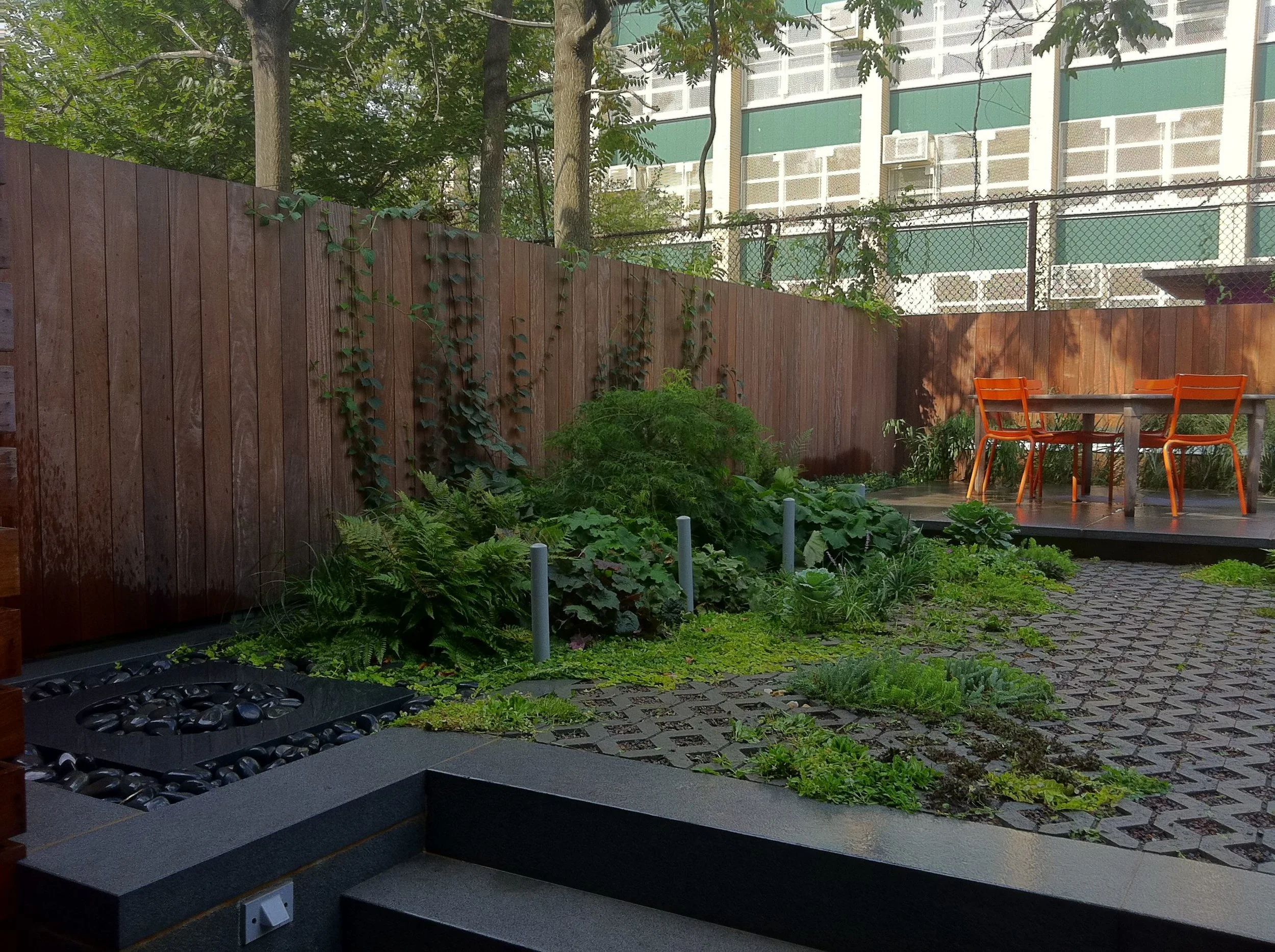 hoyt summer copy.jpg