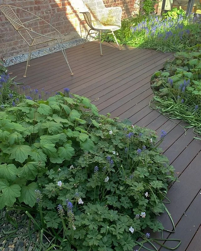 #horticulture #gardendesign #greenroof #brooklyngarden #nyc