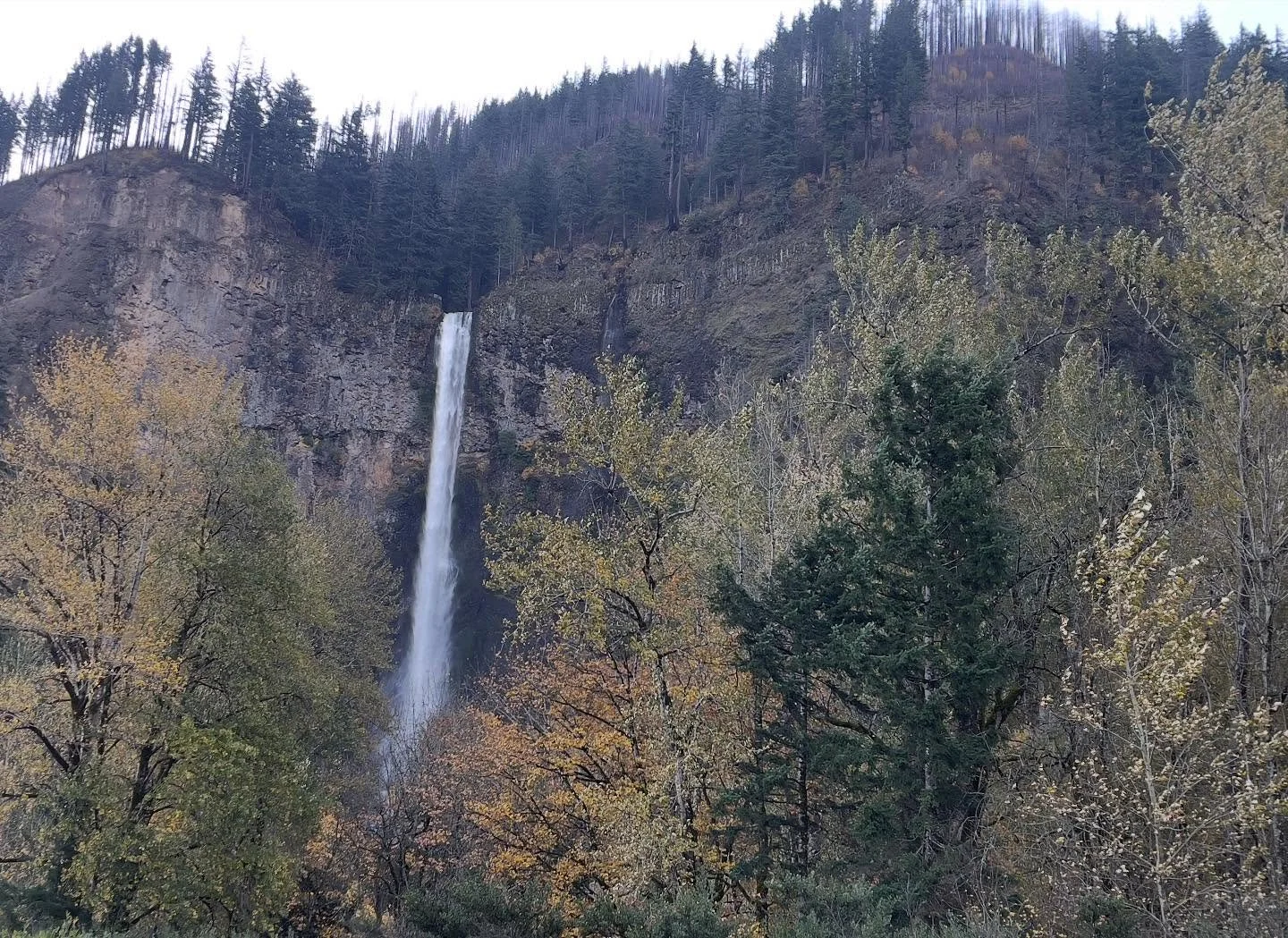 Multnomah Falls in fall

#vestelletravel #travelwinefood