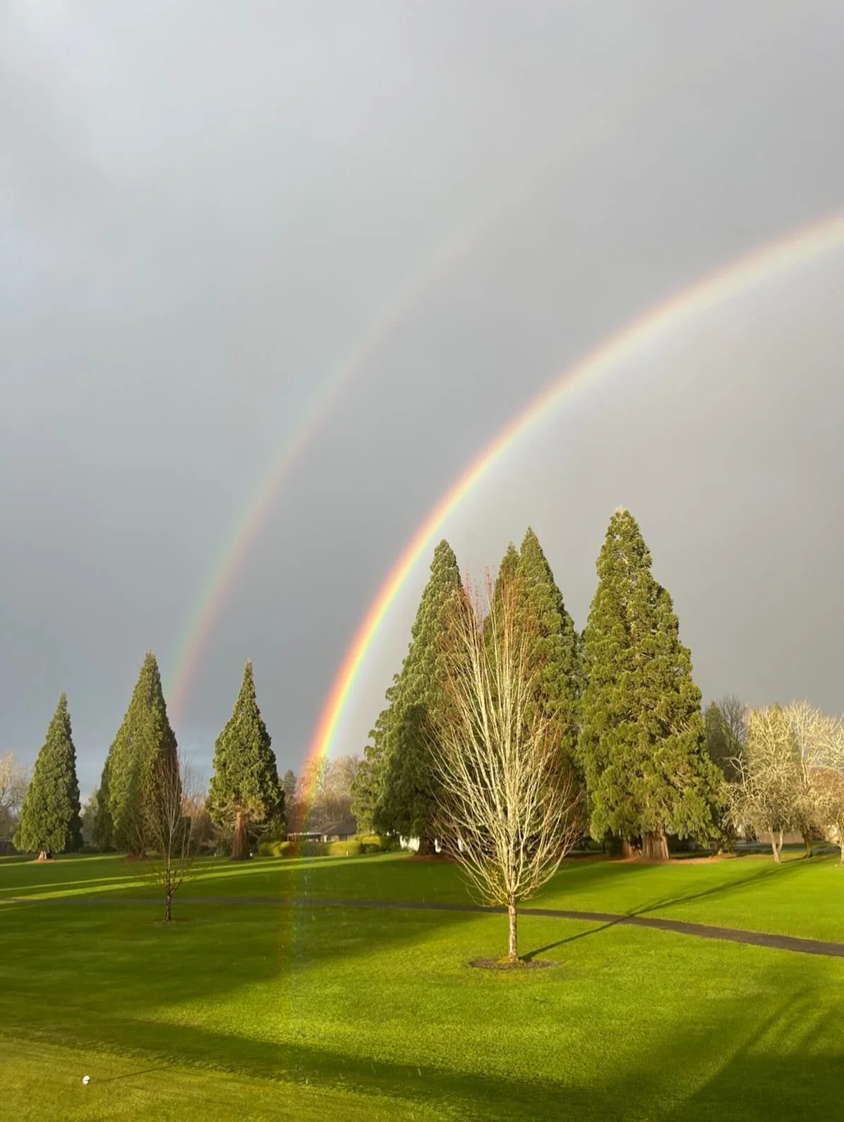 I&rsquo;ve seen a rainbow four days in a row. 😳🌈

#vestelletravel #travelwinefood #rainbow #oregonsunshine 
📍@michelbook_country_club