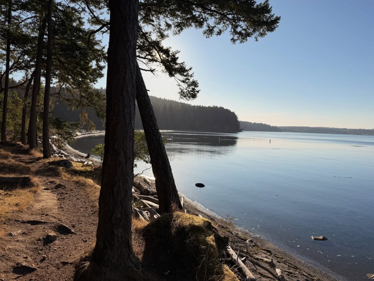 Cat sitting on San Juan Island. 🐈🐈 
What&rsquo;s better than cats and afternoons going to views like this? 

#vestelletravel #travelwinefood #sanjuanislands #visitsanjuans