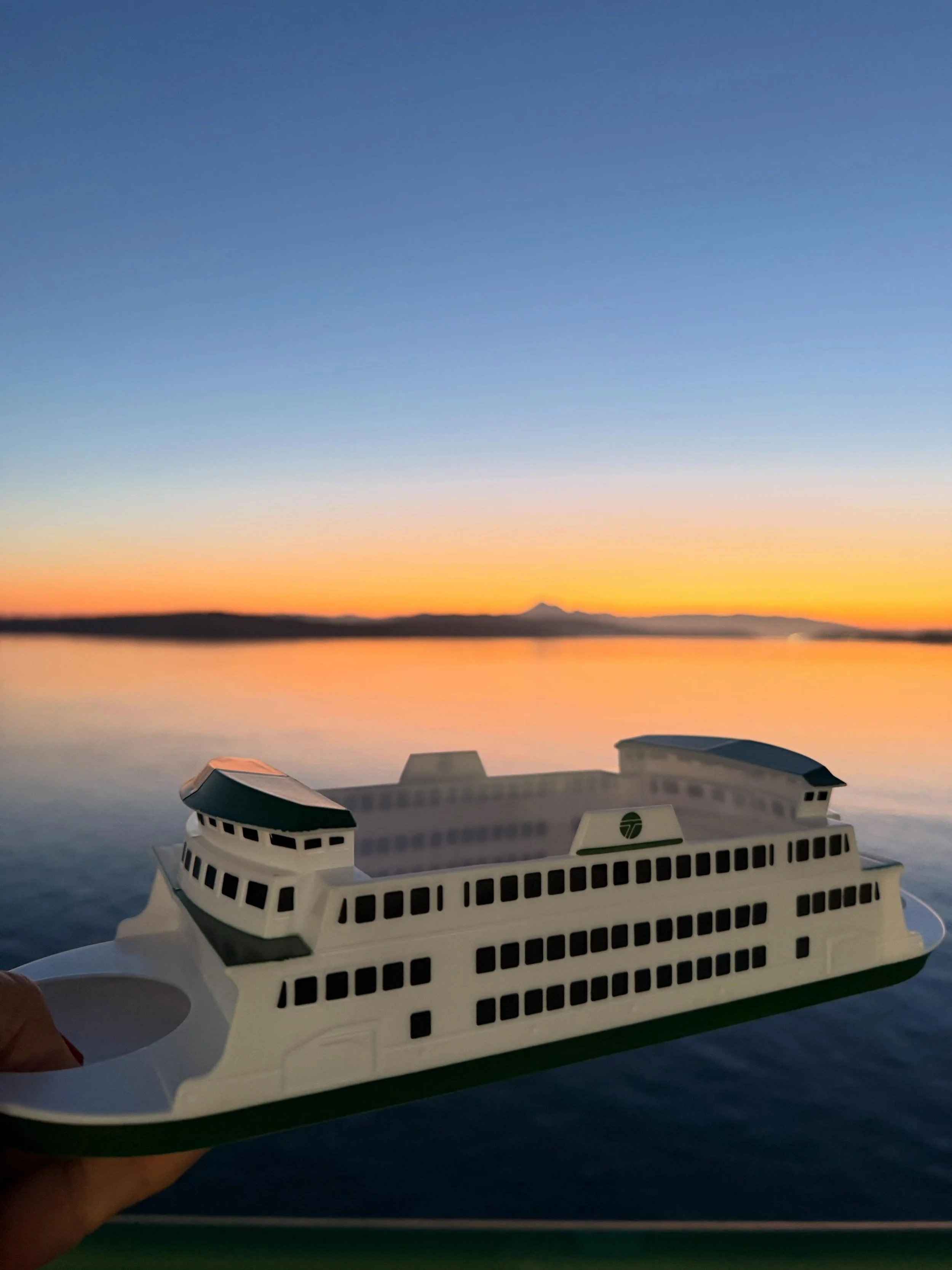Ferry on a ferry. ⛴️ 

#vestelletravel #travelwinefood #wsdot #wave2go #washingtonstate